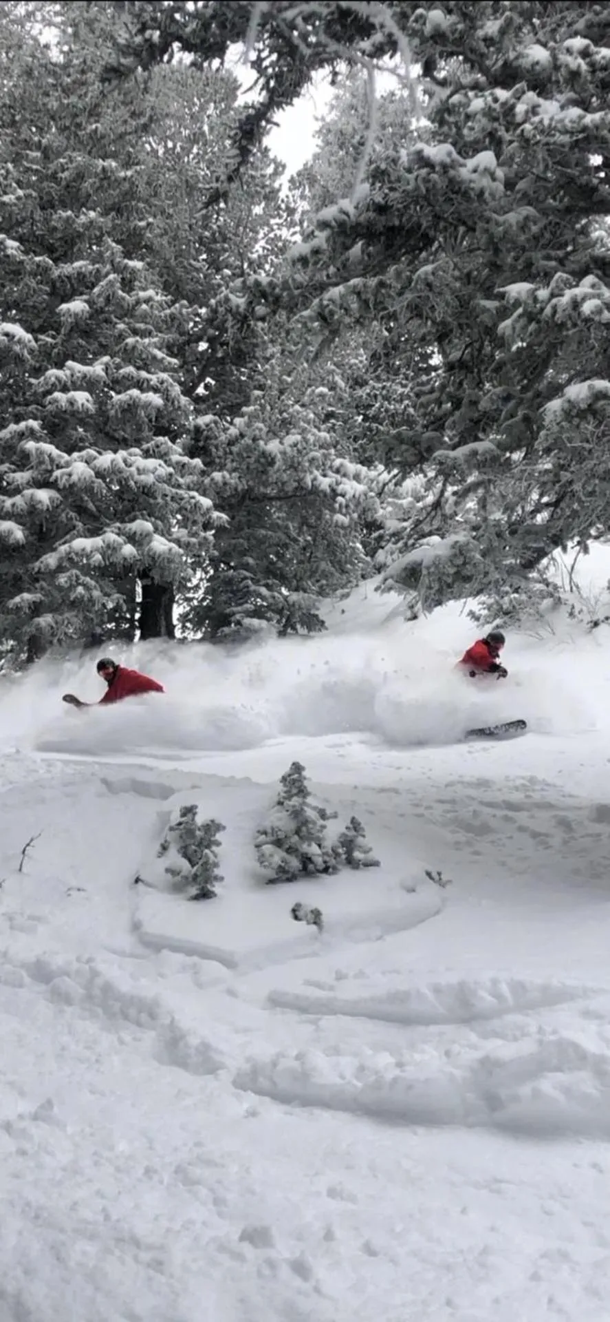 Activities in Inn at Snowbird