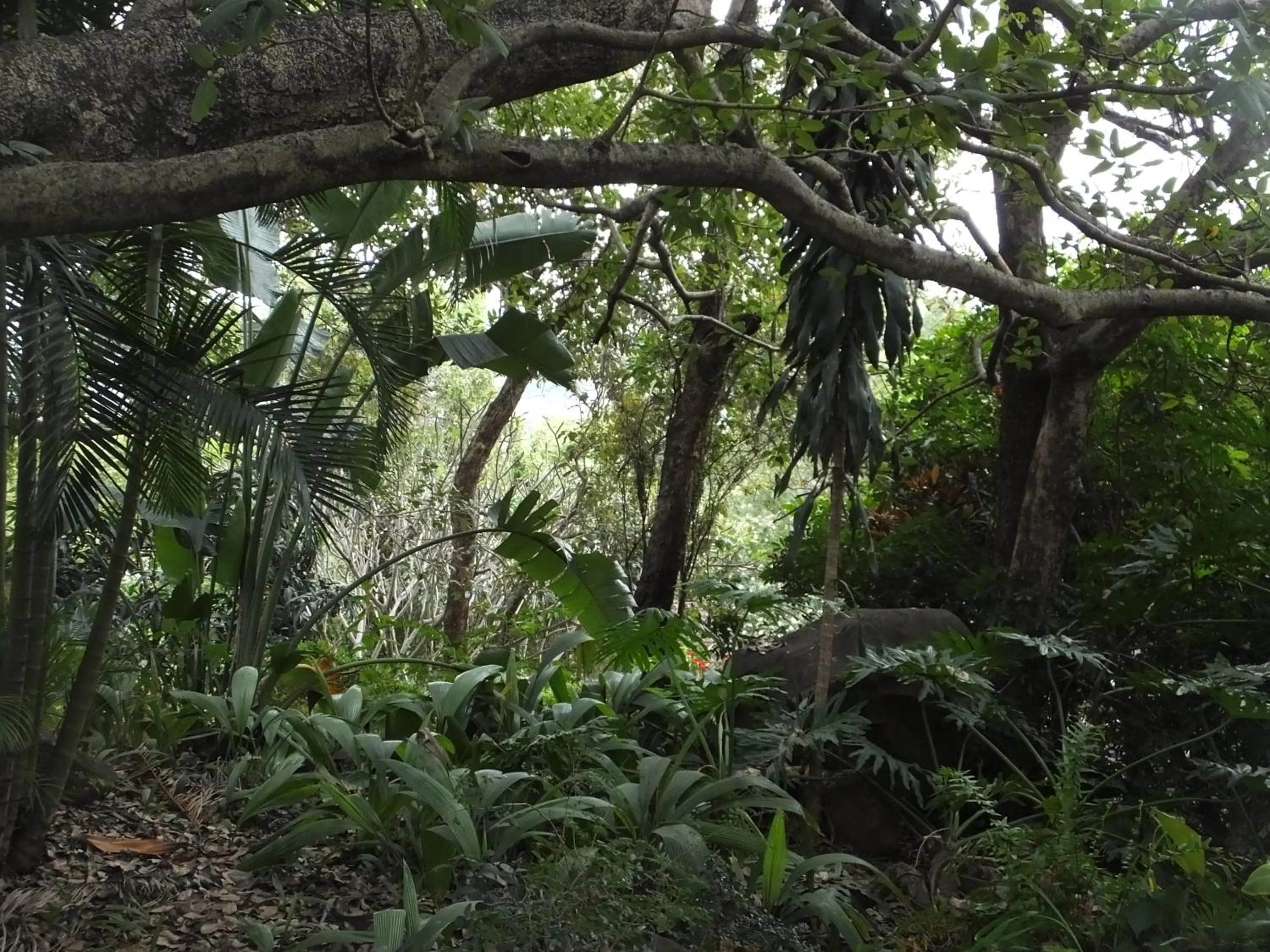 Natural landscape in Tatenda Guest House