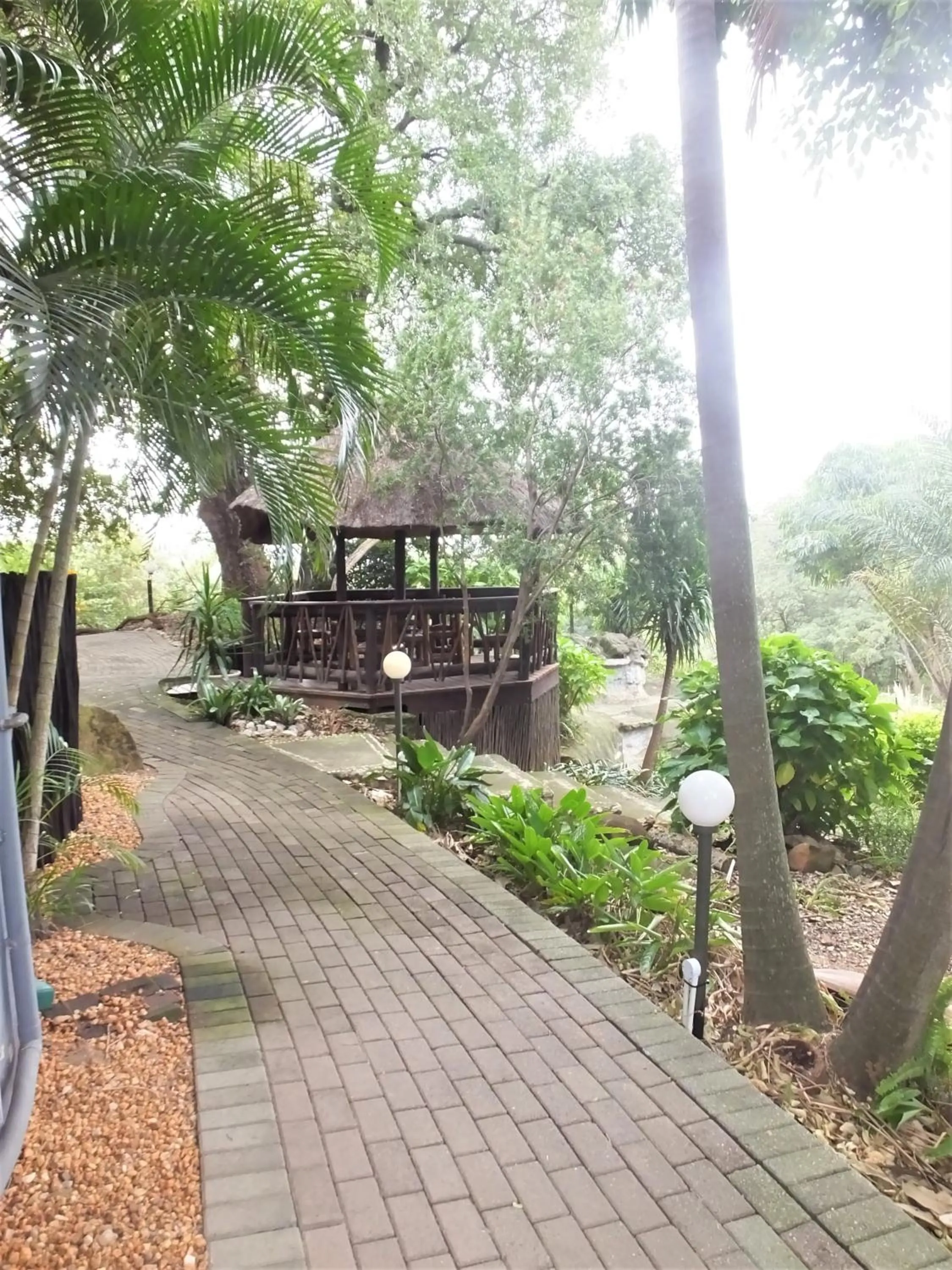 Garden in Tatenda Guest House