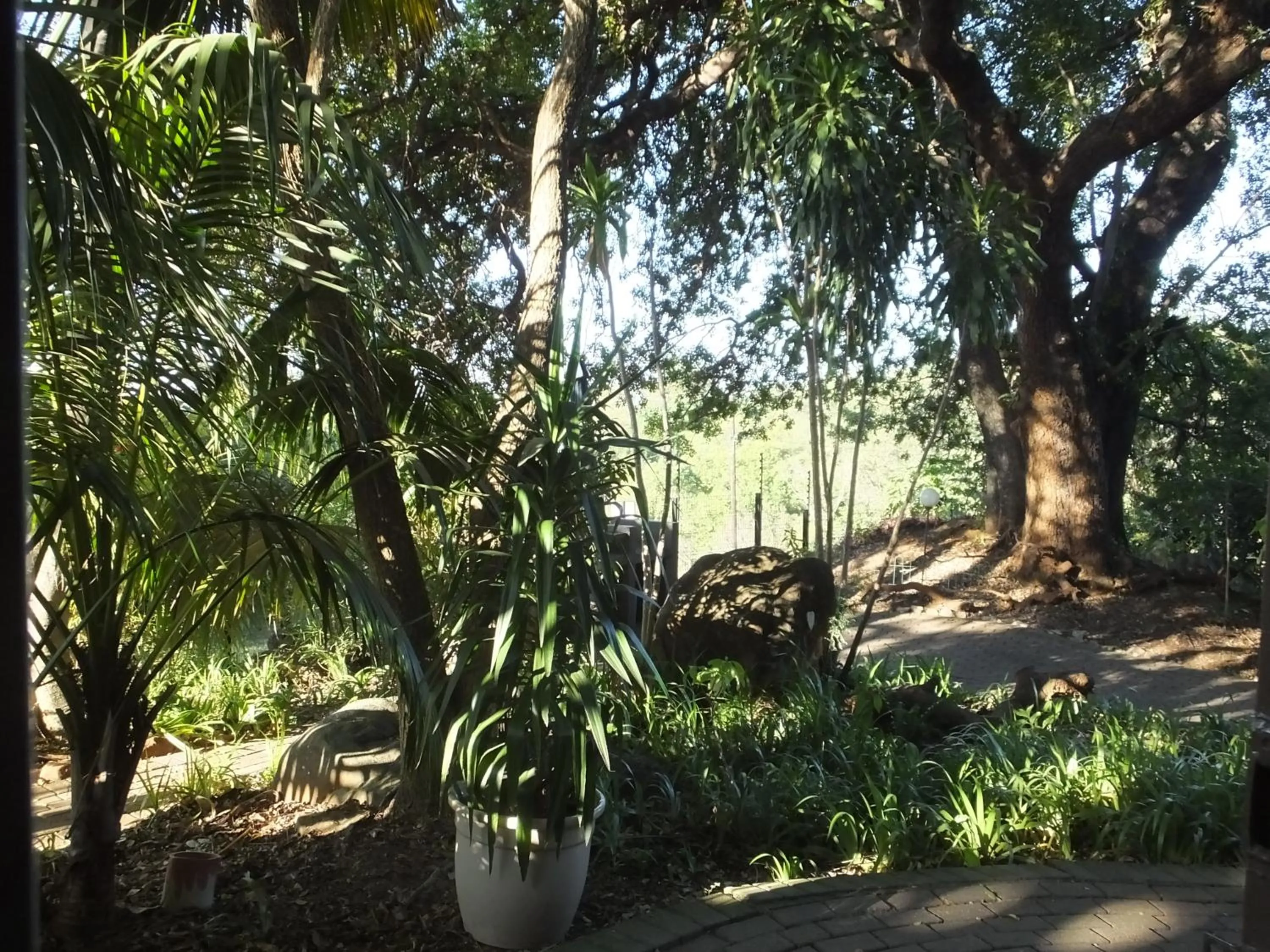 Garden view in Tatenda Guest House
