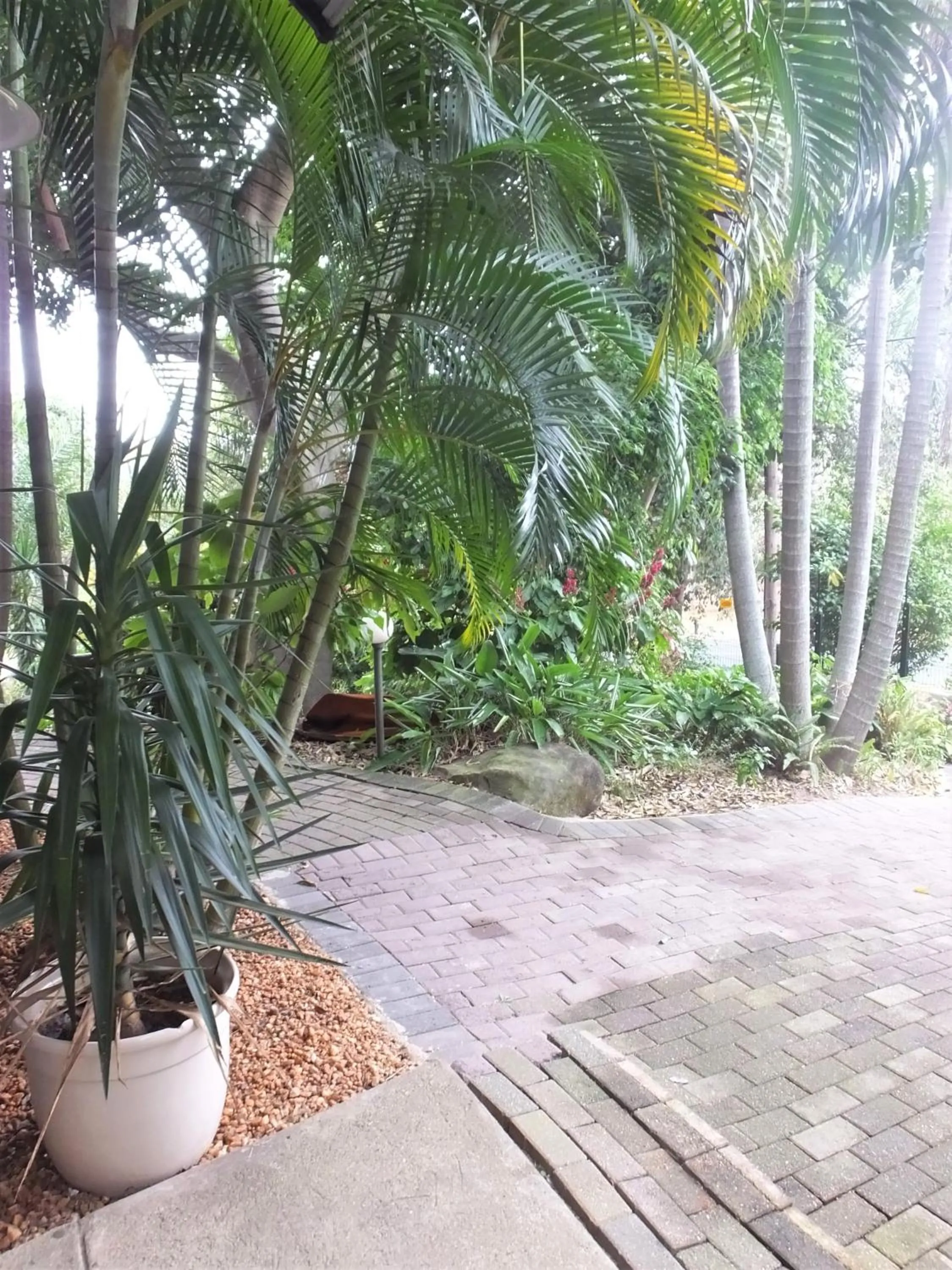 Garden view in Tatenda Guest House