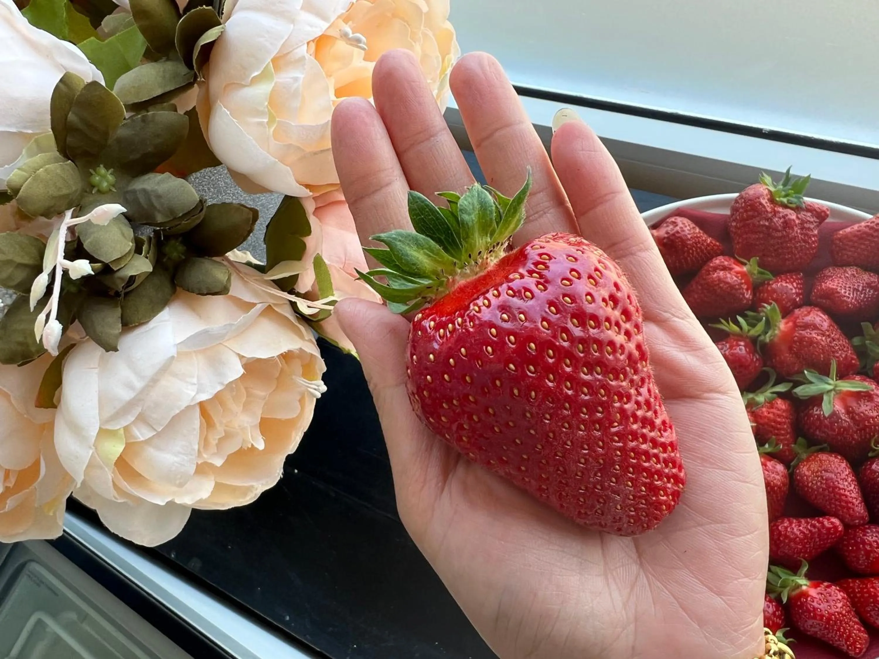 Mes Caprices B&B Villa Mosan Bord de Meuse