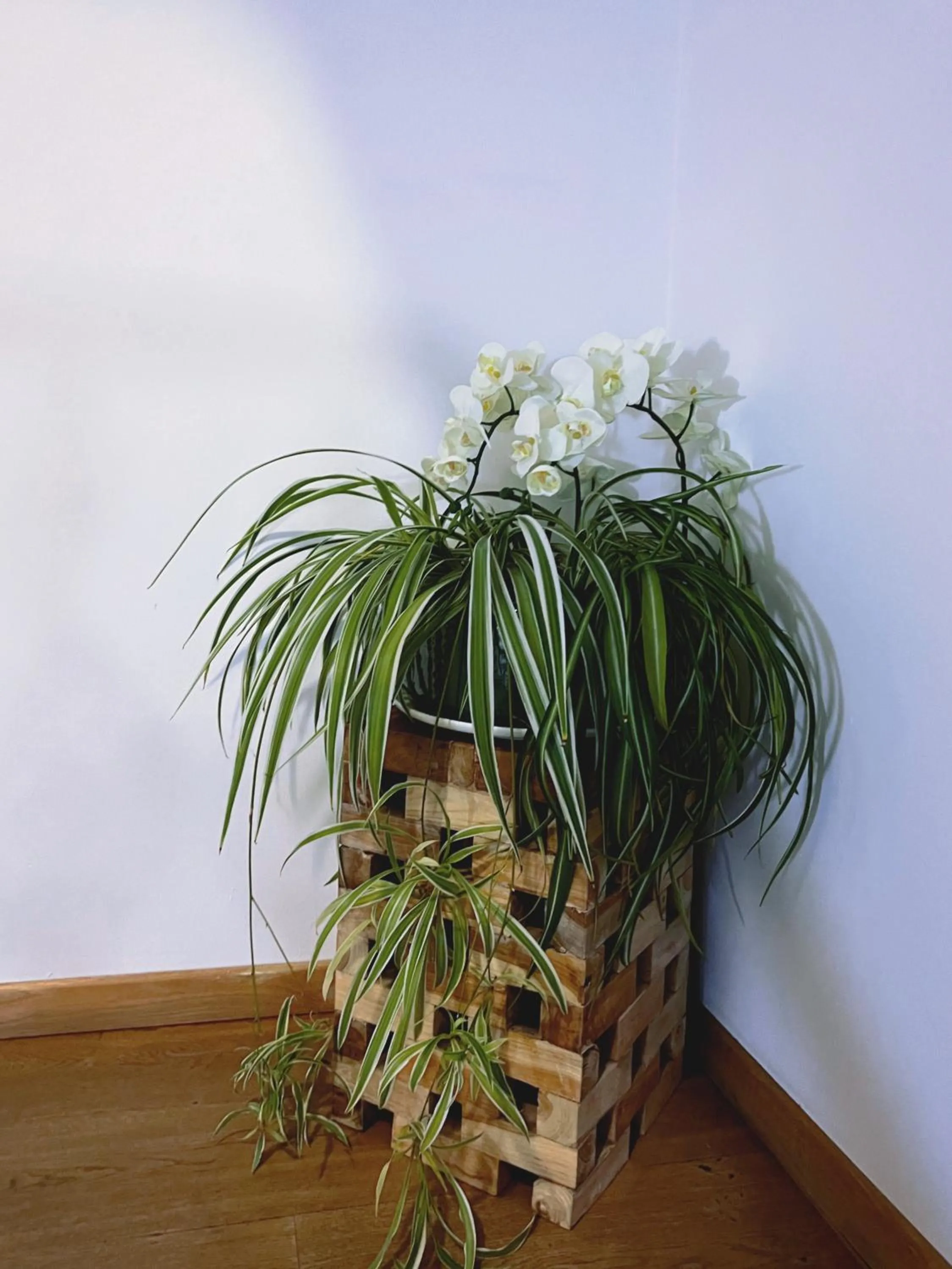 Mes Caprices B&B Villa Mosan Bord de Meuse