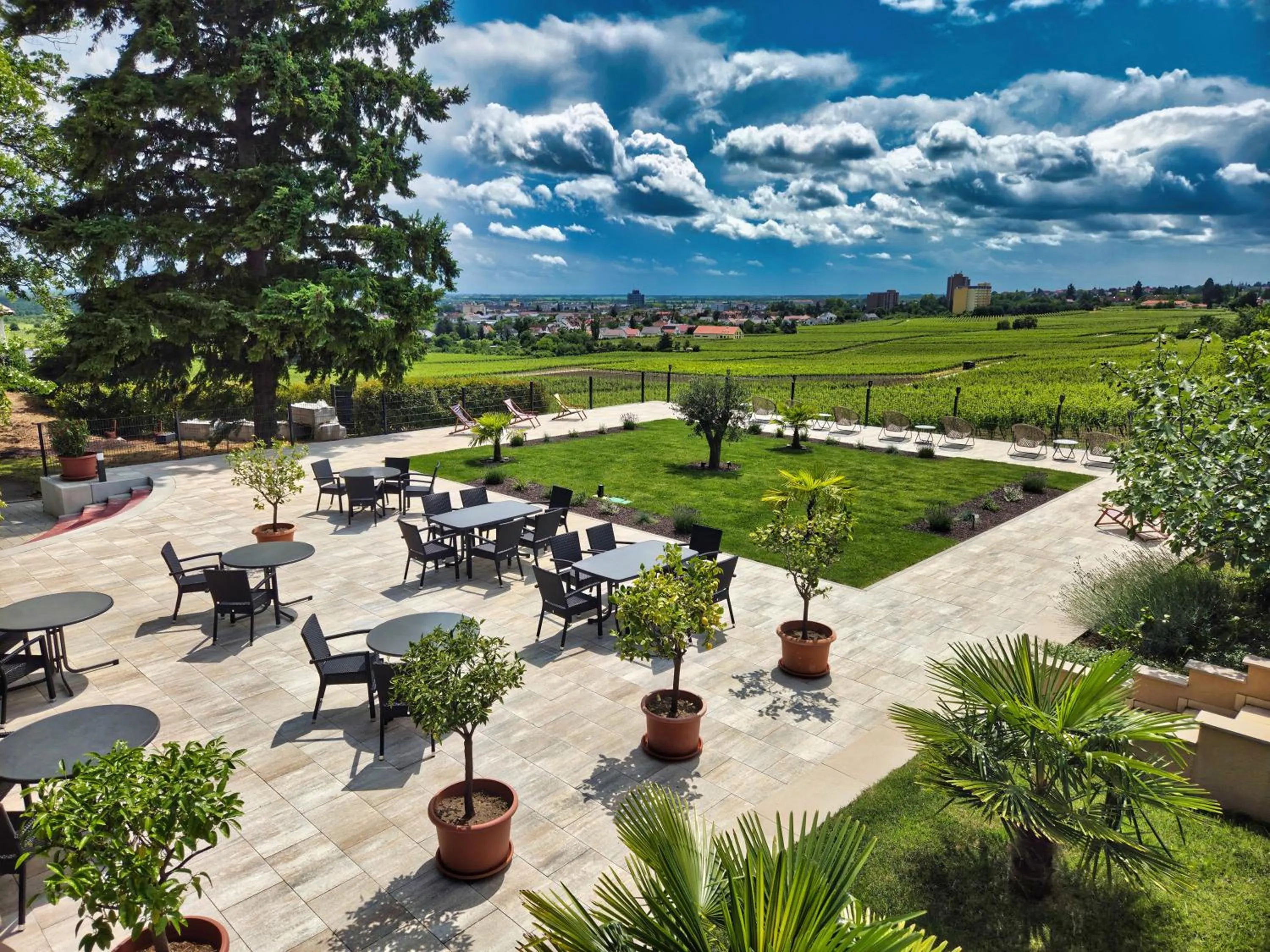 Garden in Hotel Tenner