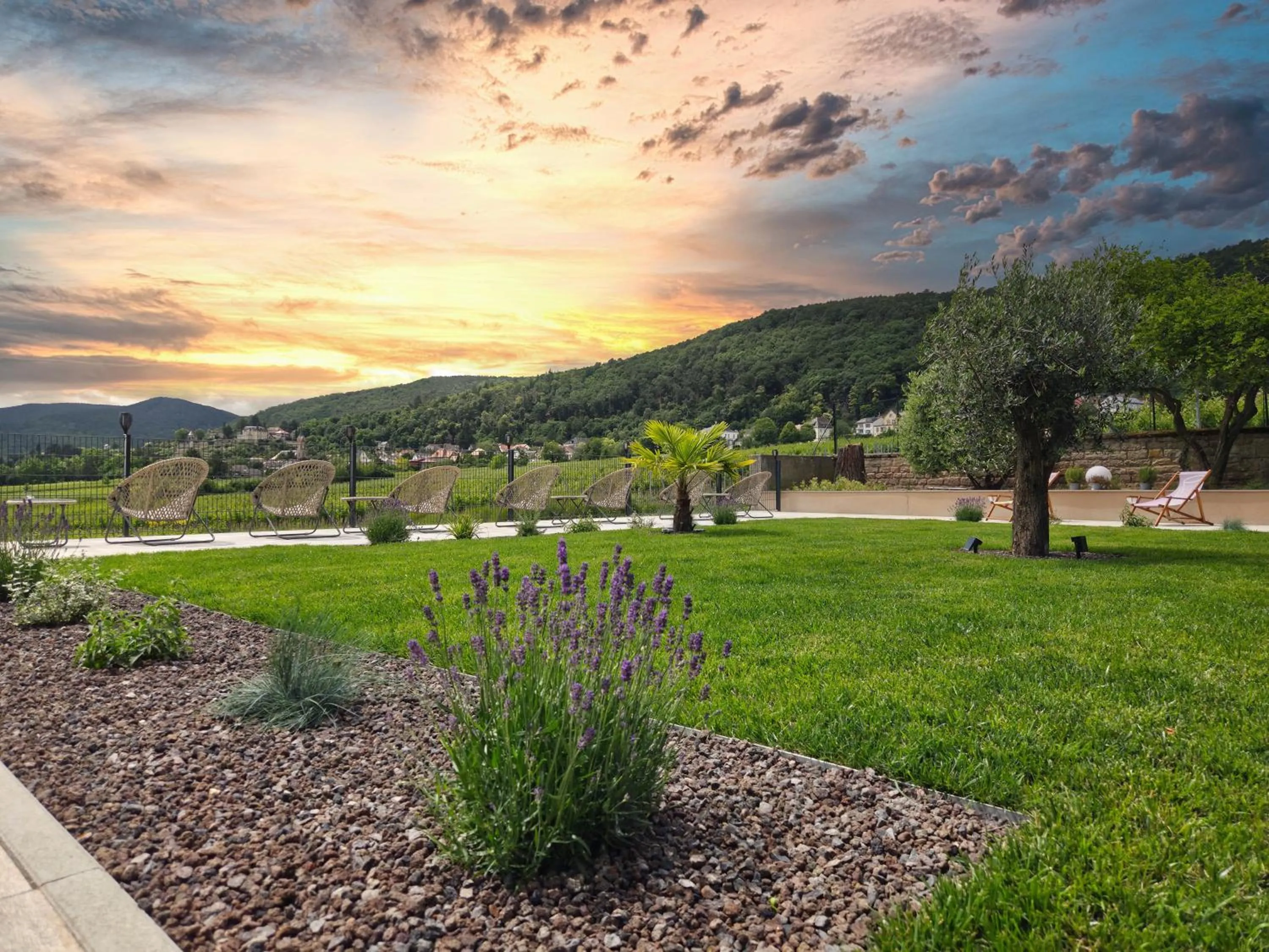 Garden in Hotel Tenner