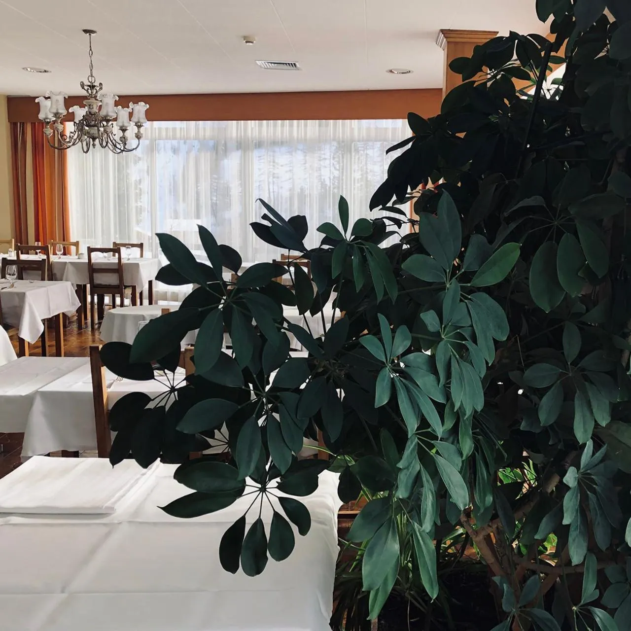 Restaurant/places to eat in Hotel Regina Terme