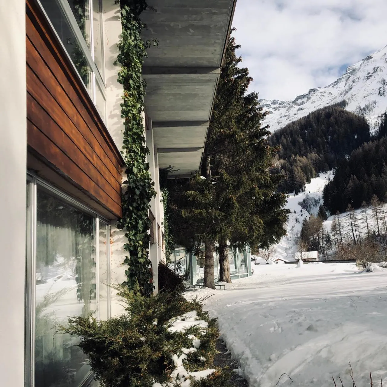 Natural landscape in Hotel Regina Terme