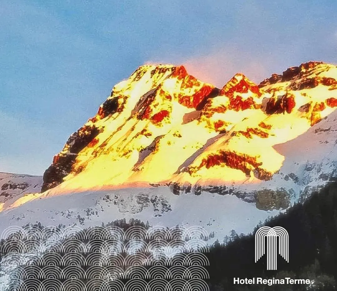 Property logo or sign in Hotel Regina Terme