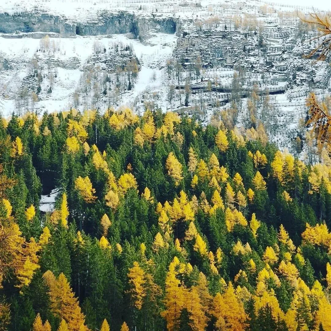 Natural landscape in Hotel Regina Terme
