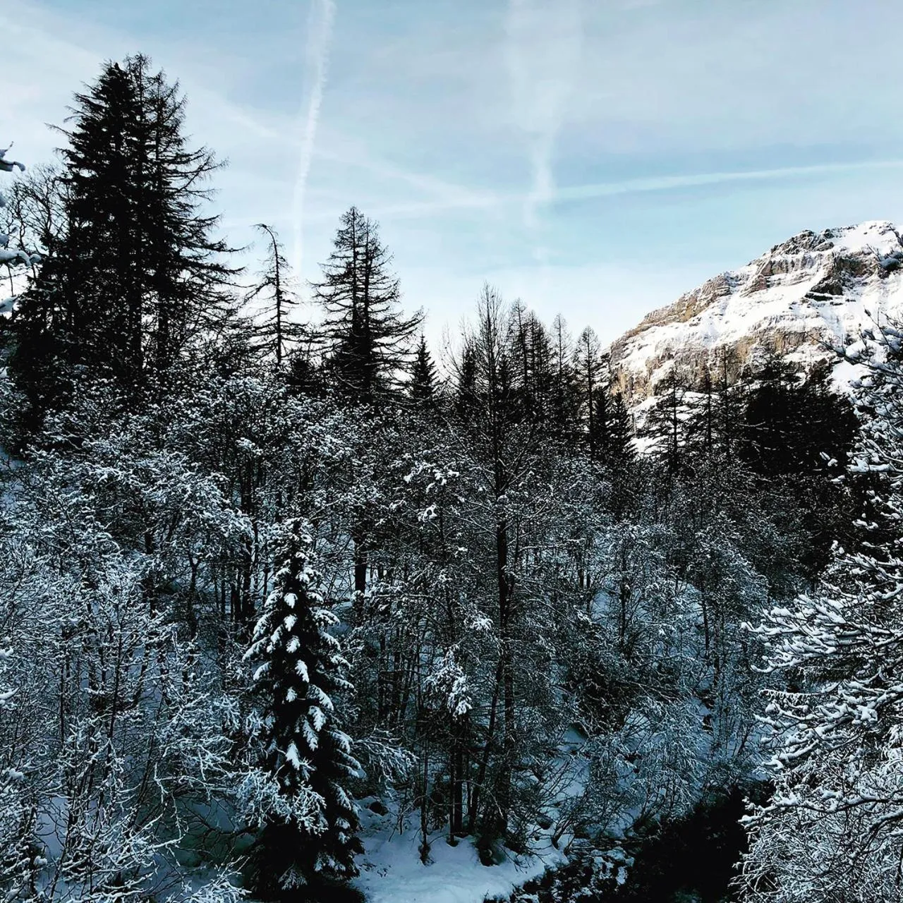 Winter in Hotel Regina Terme