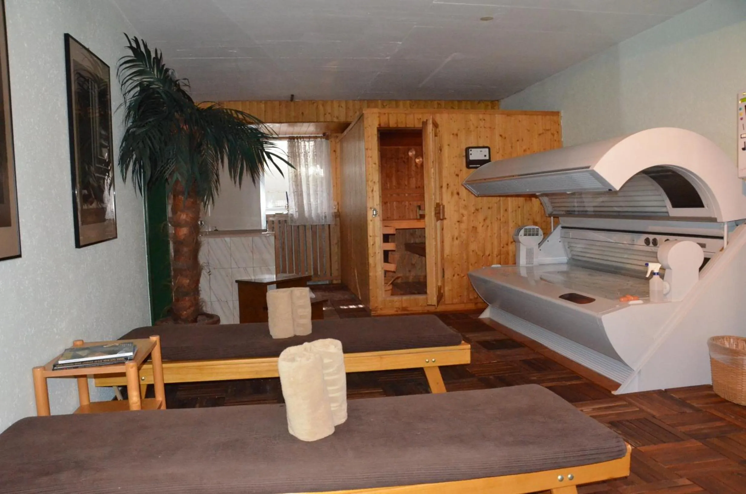 Sauna in Hotel Regina Terme