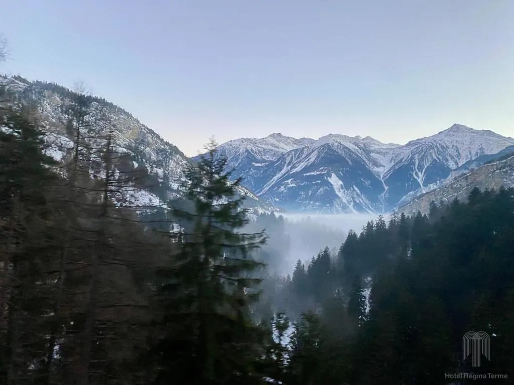 Hotel Regina Terme