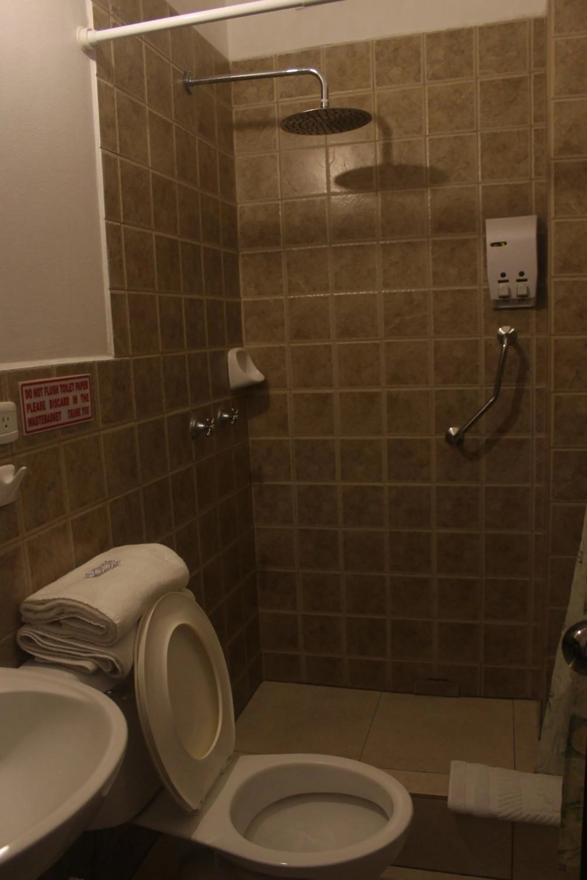 Bathroom in Hotel Andino