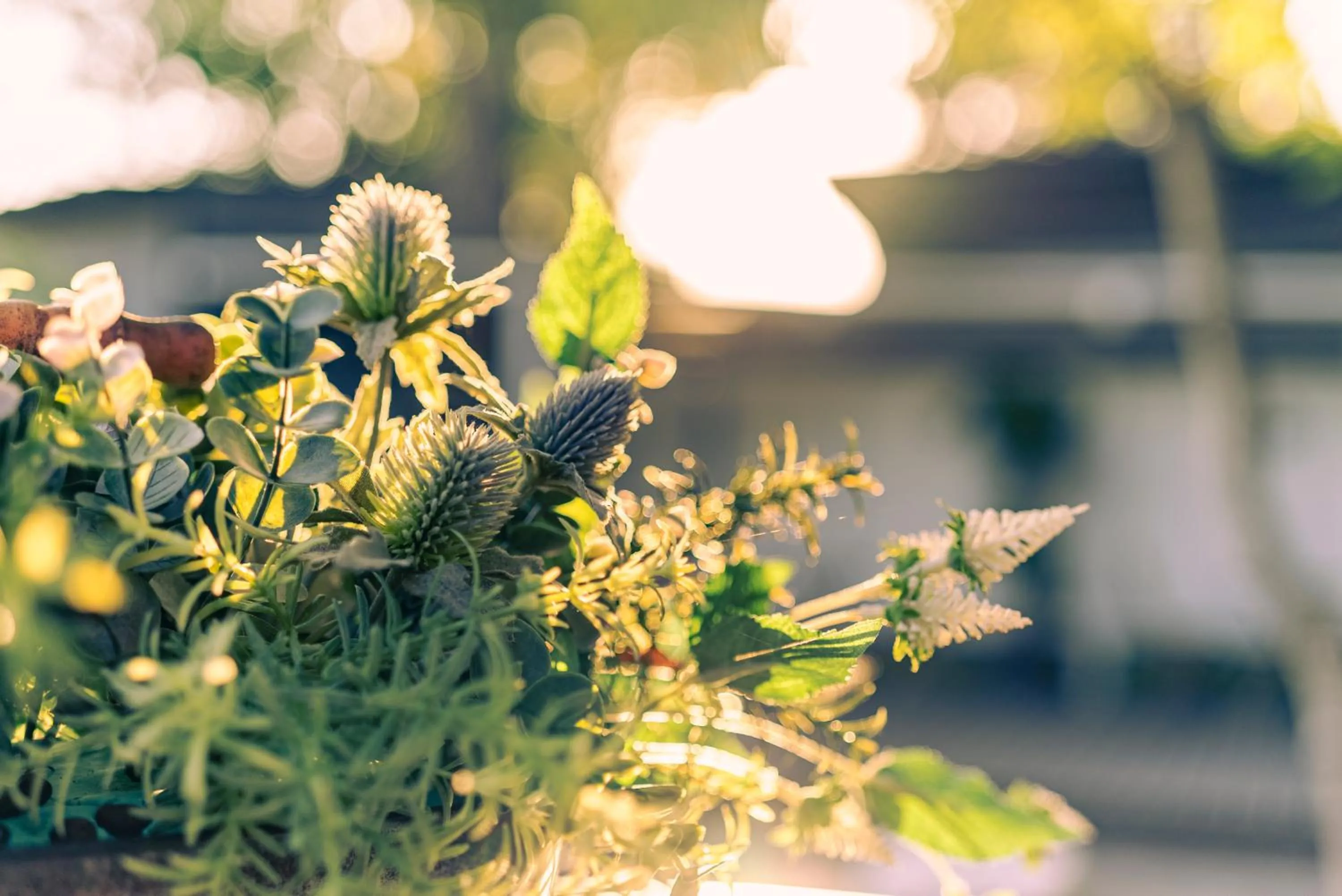 Balcony/Terrace in ETAVIA Yufuin Kinrinko