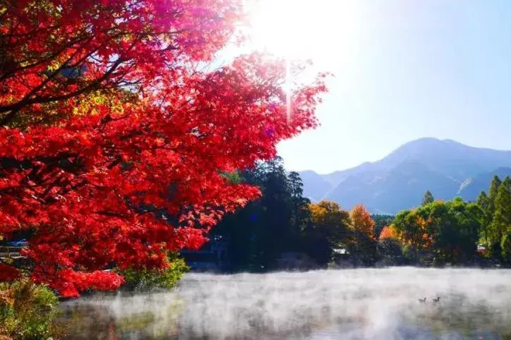 ETAVIA Yufuin Kinrinko ETAVIA Yufuin Kinrinko