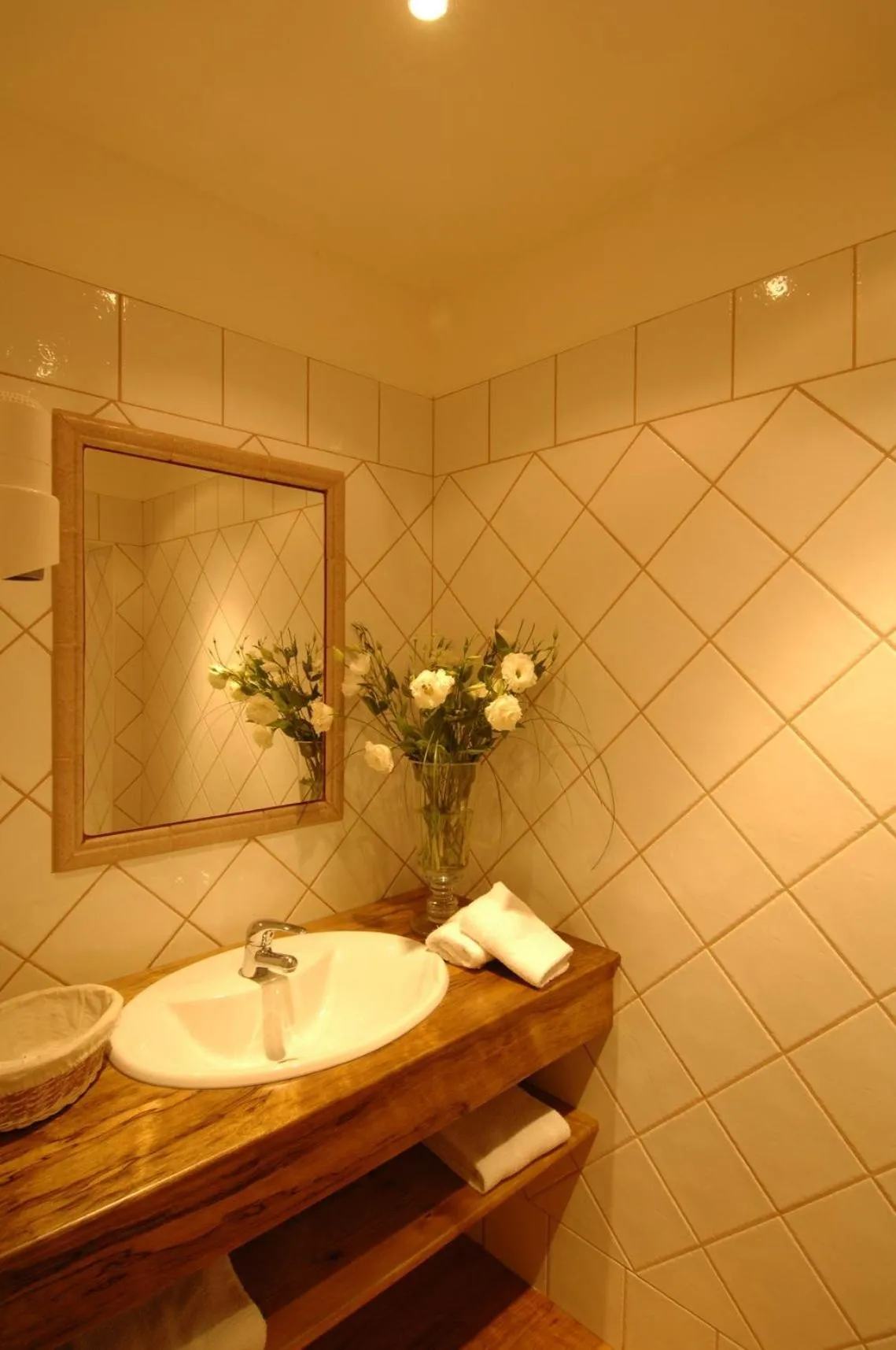 Bathroom in Hôtel et Restaurant Le Manoir - Echangeur A7-A9 - 24h-24h