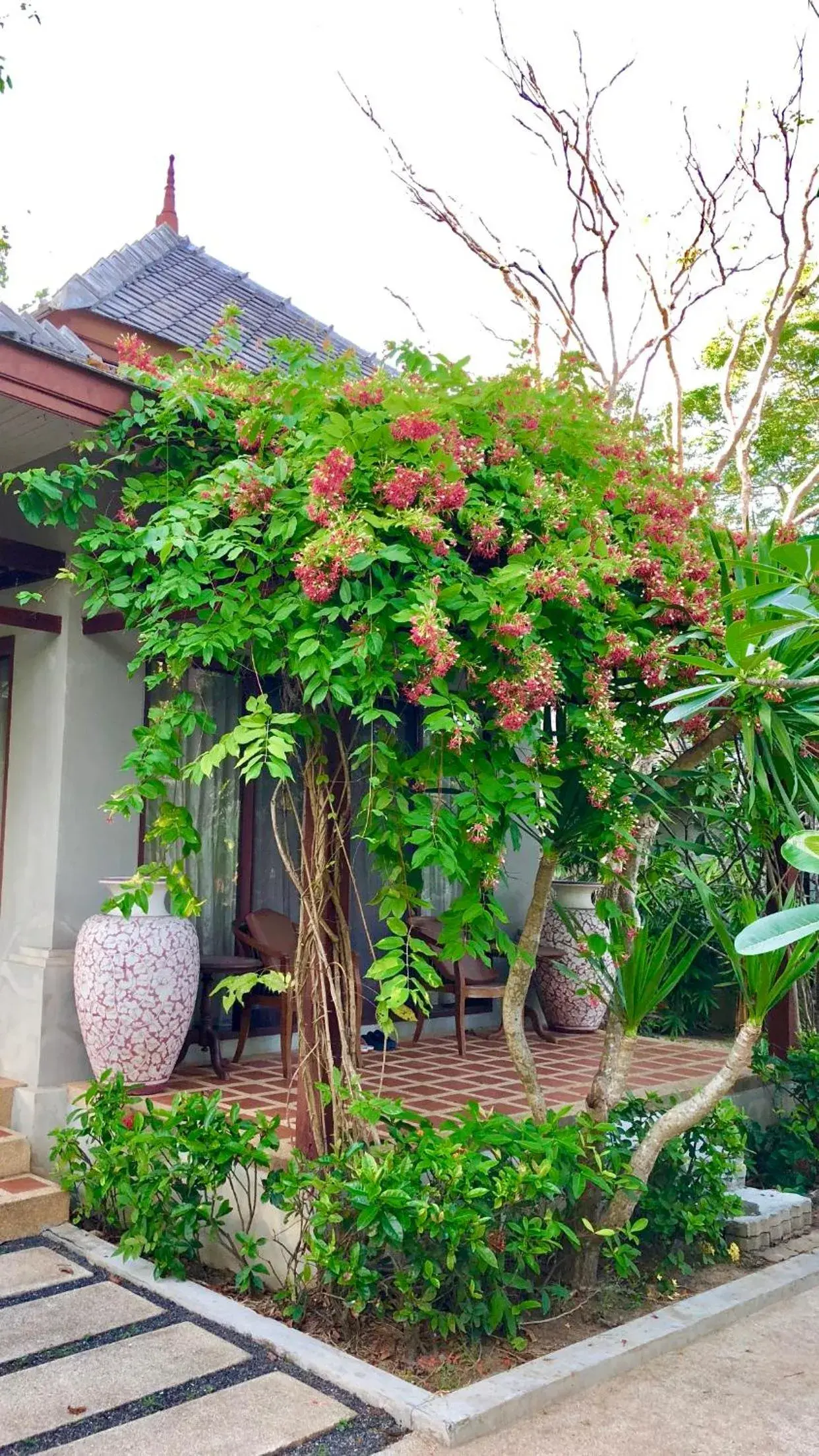 Deluxe Garden Villa in Bhumlapa Garden Resort Deluxe Garden Villa in Bhumlapa Garden Resort