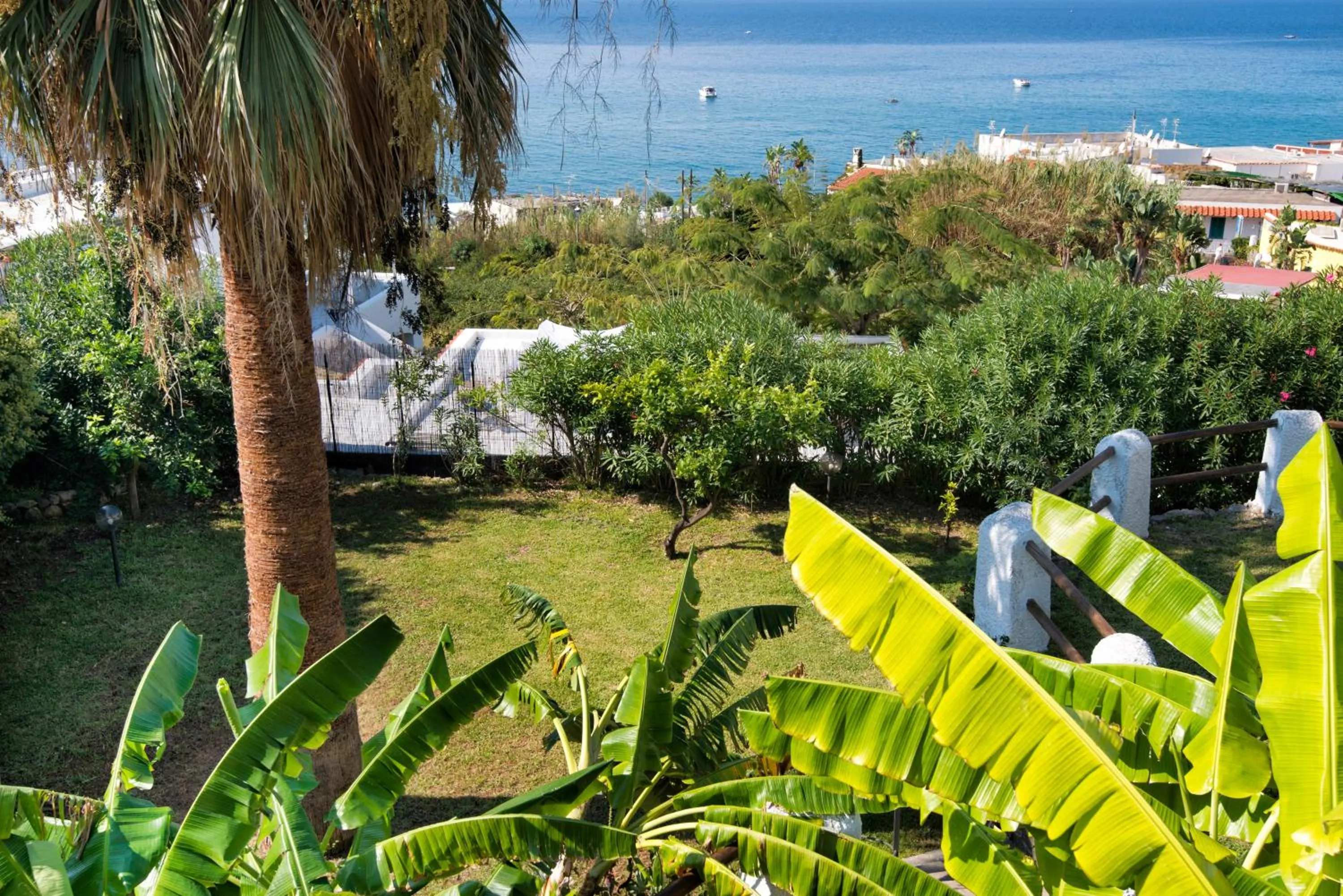 Garden in Hotel Citara