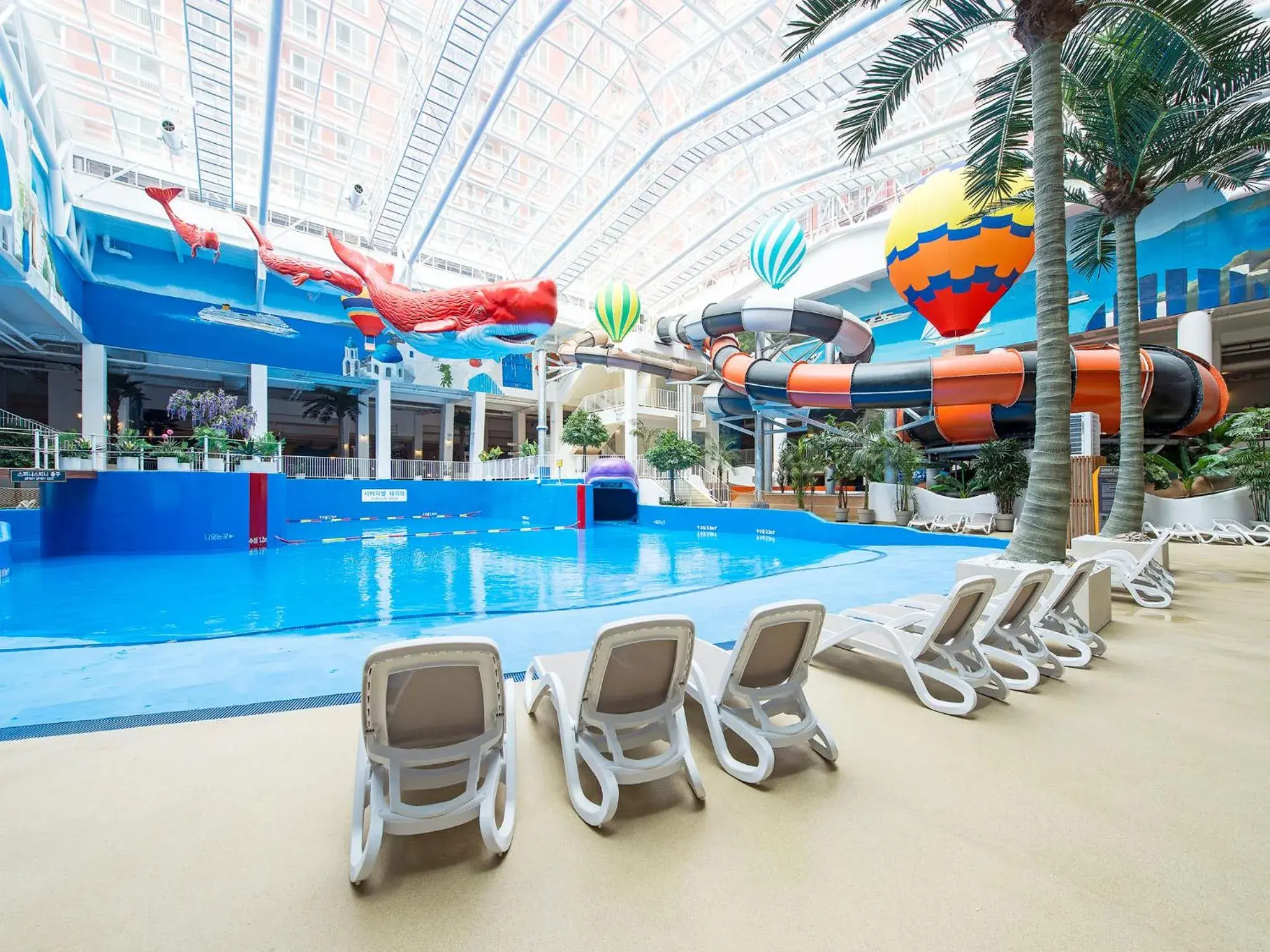 Swimming pool in Hotel Park Habio Swimming pool in Hotel Park Habio