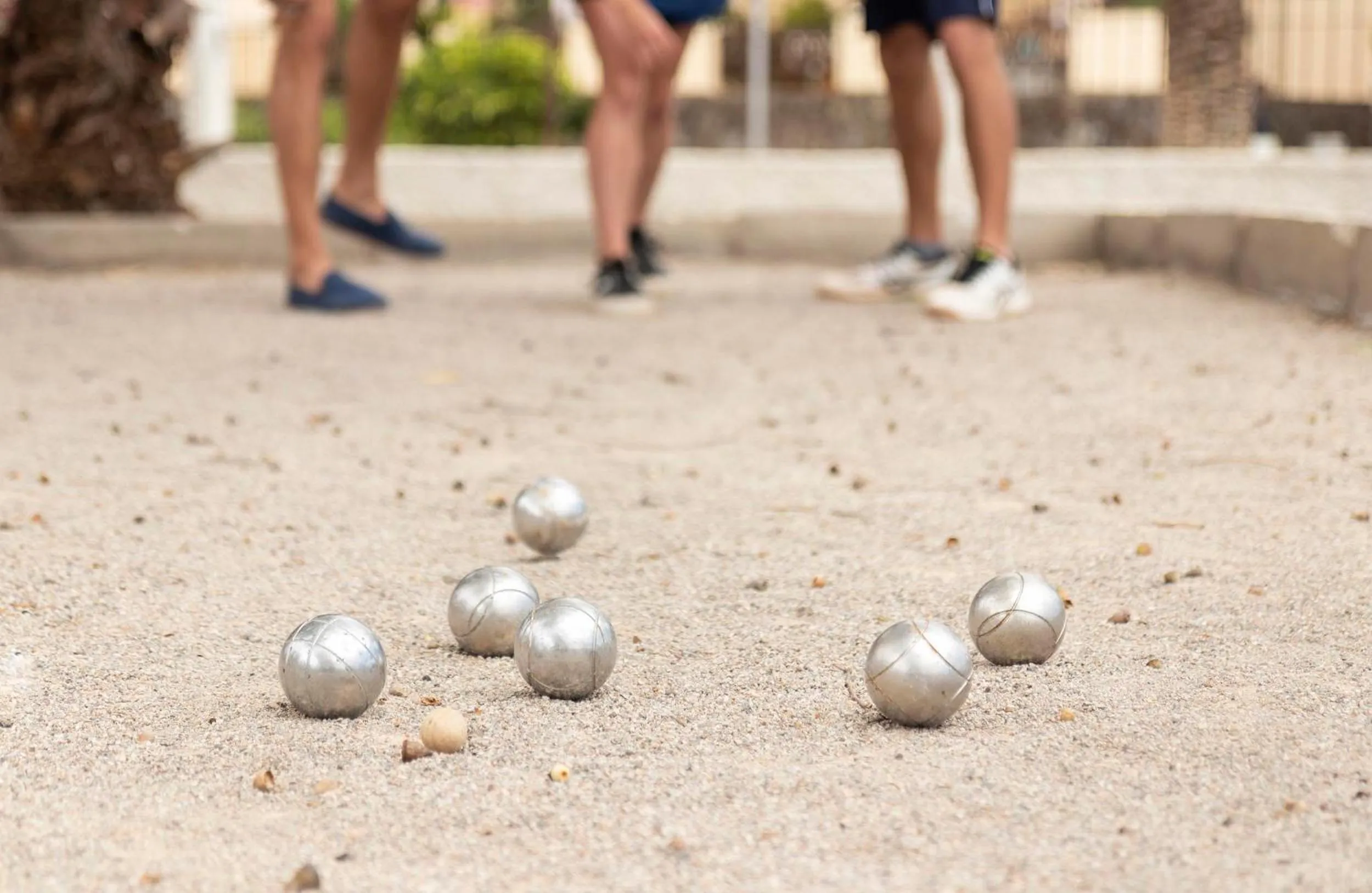 Entertainment in Hotel Palia Don Pedro