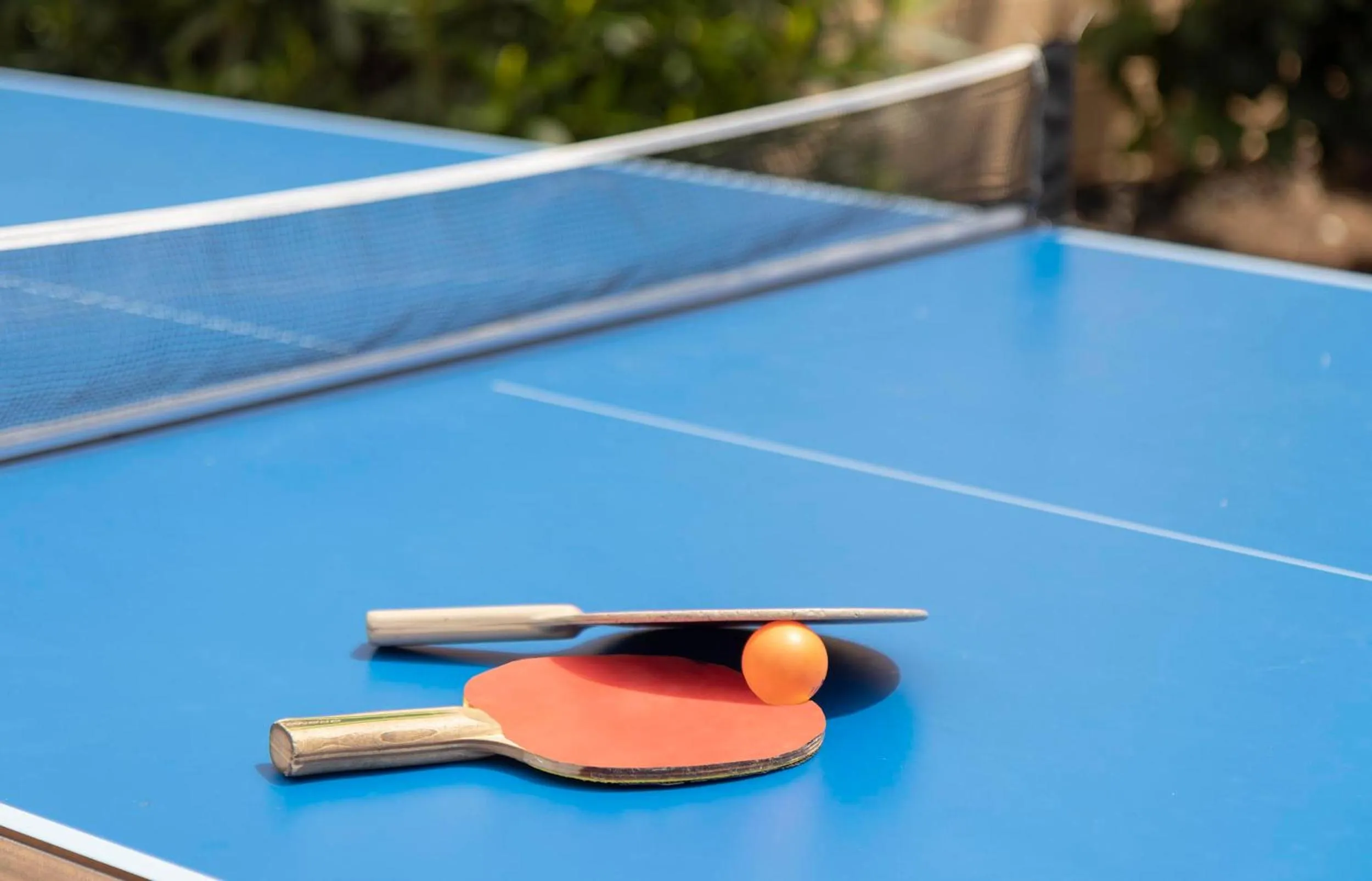 Table tennis in Hotel Palia Don Pedro