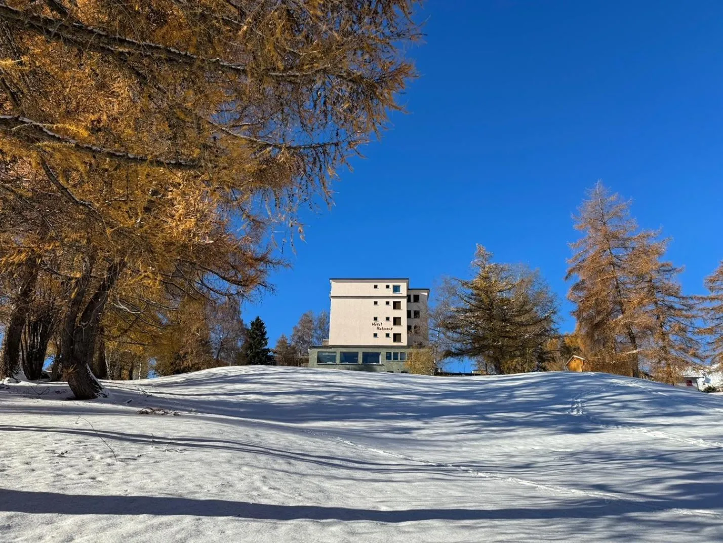 Hotel Belmont