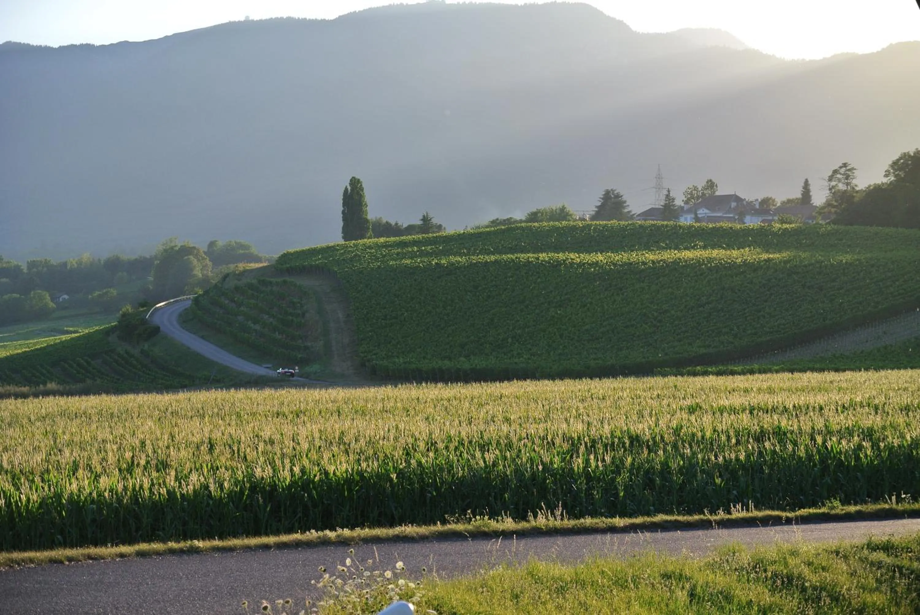 Area and facilities in Auberge de la Réunion