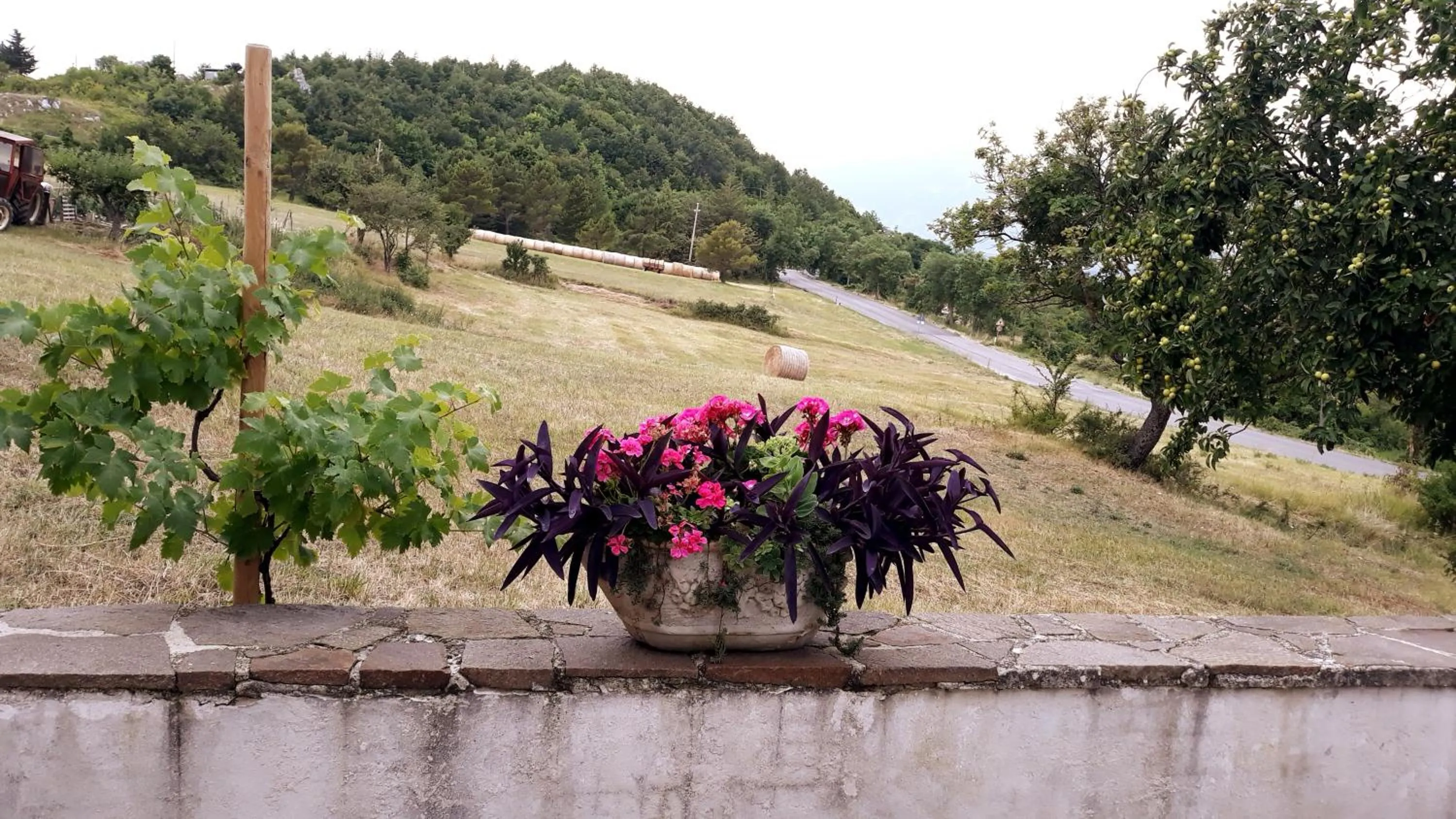 Garden in Agriturismo Persichitti