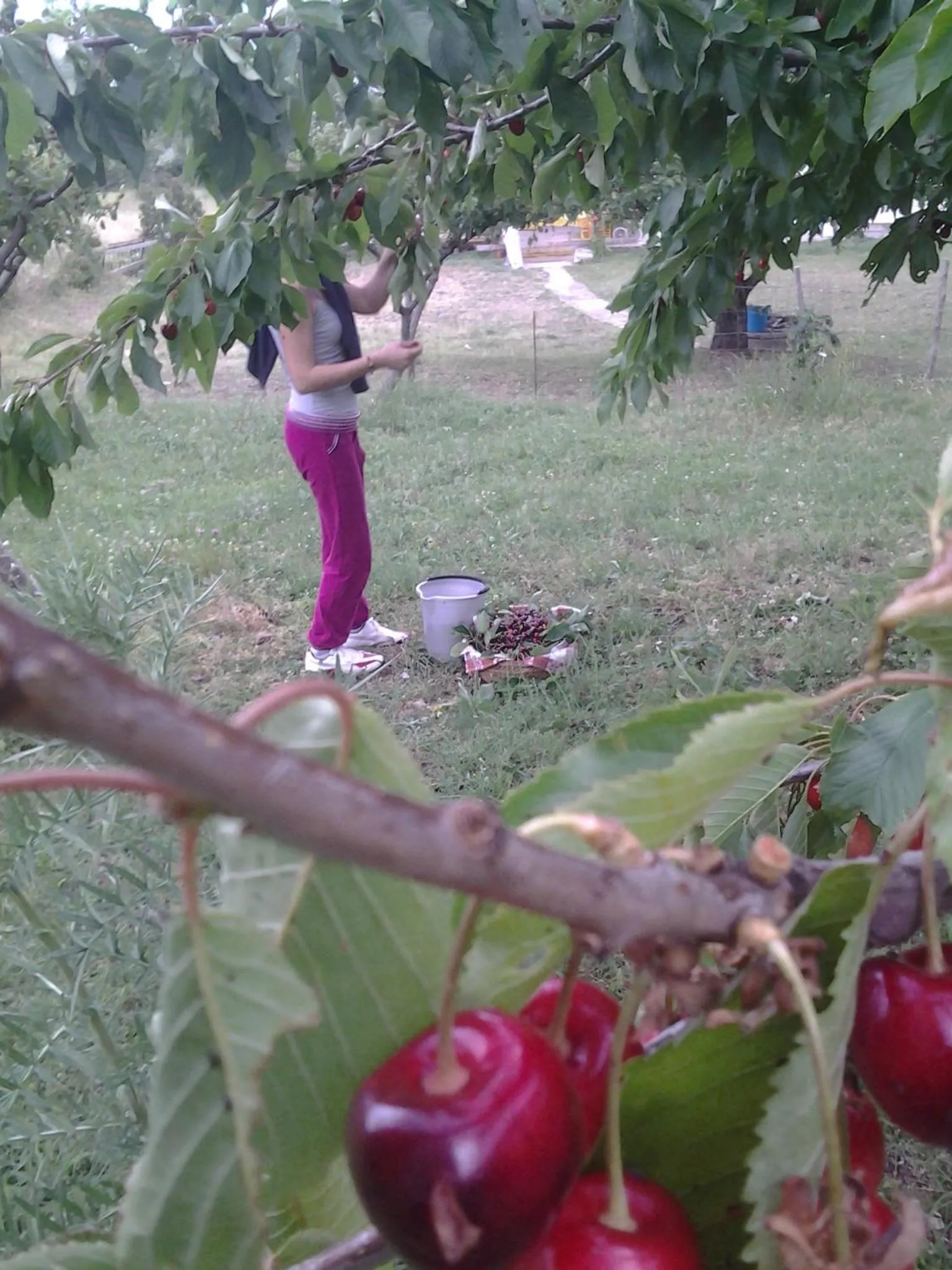 Food and drinks in Agriturismo Persichitti