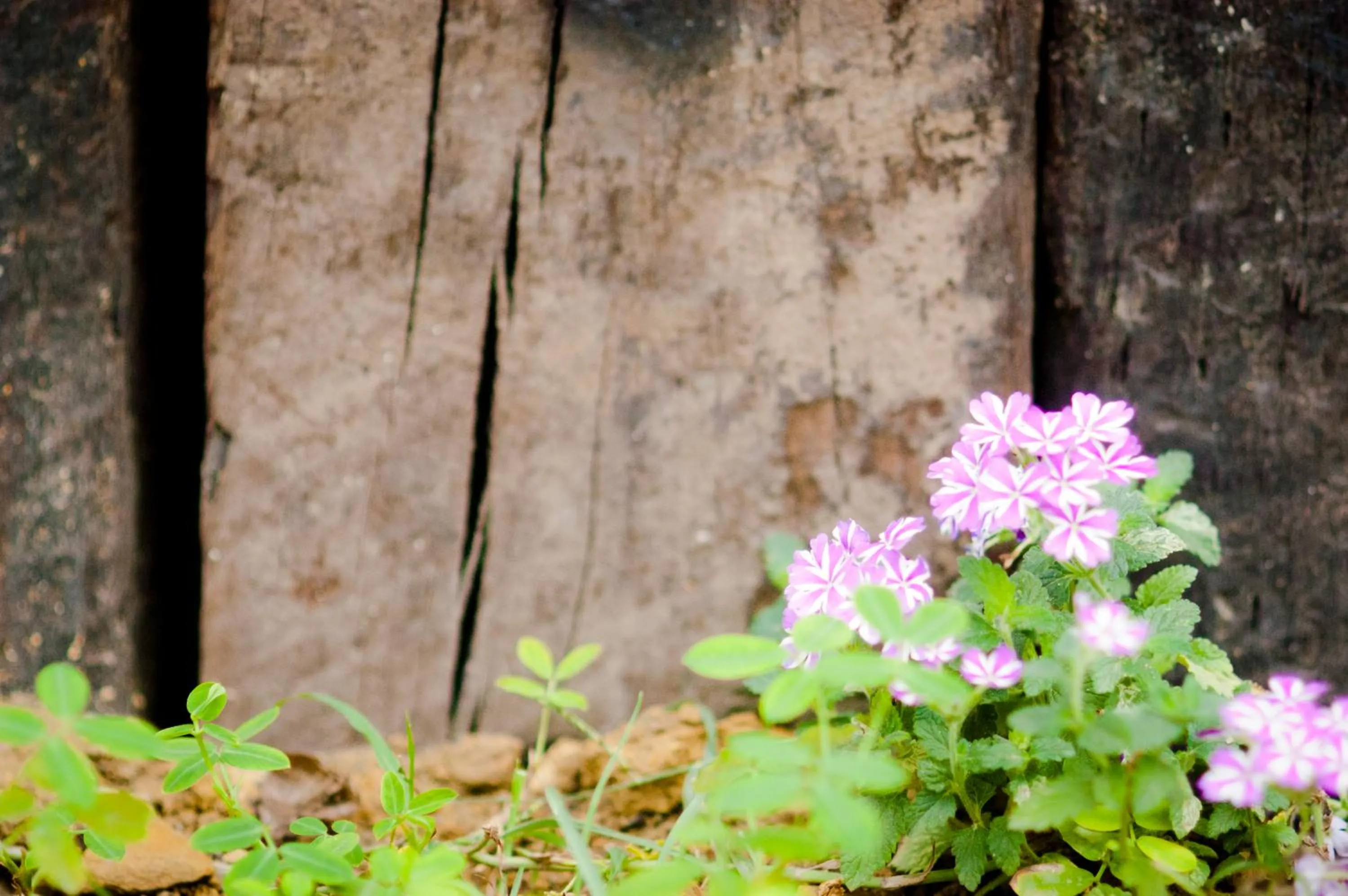 Facade/entrance in Su Beautiful Home Stay