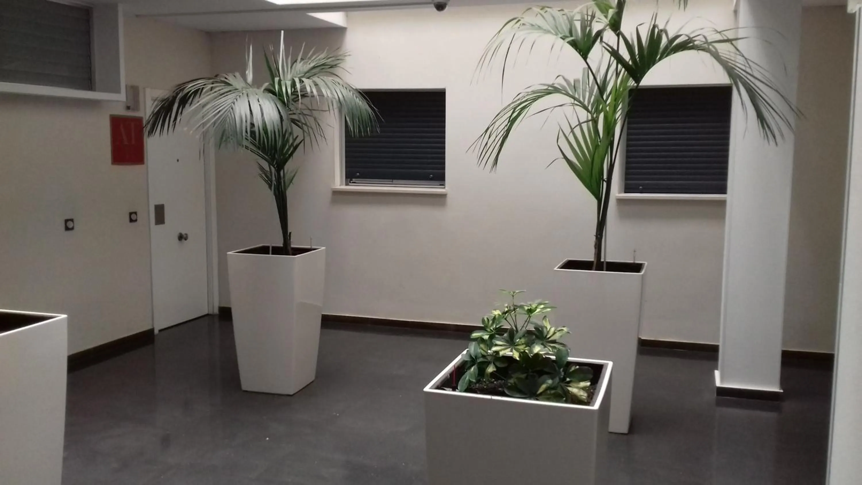 Area and facilities in Apartamentos Turísticos Los Ángeles