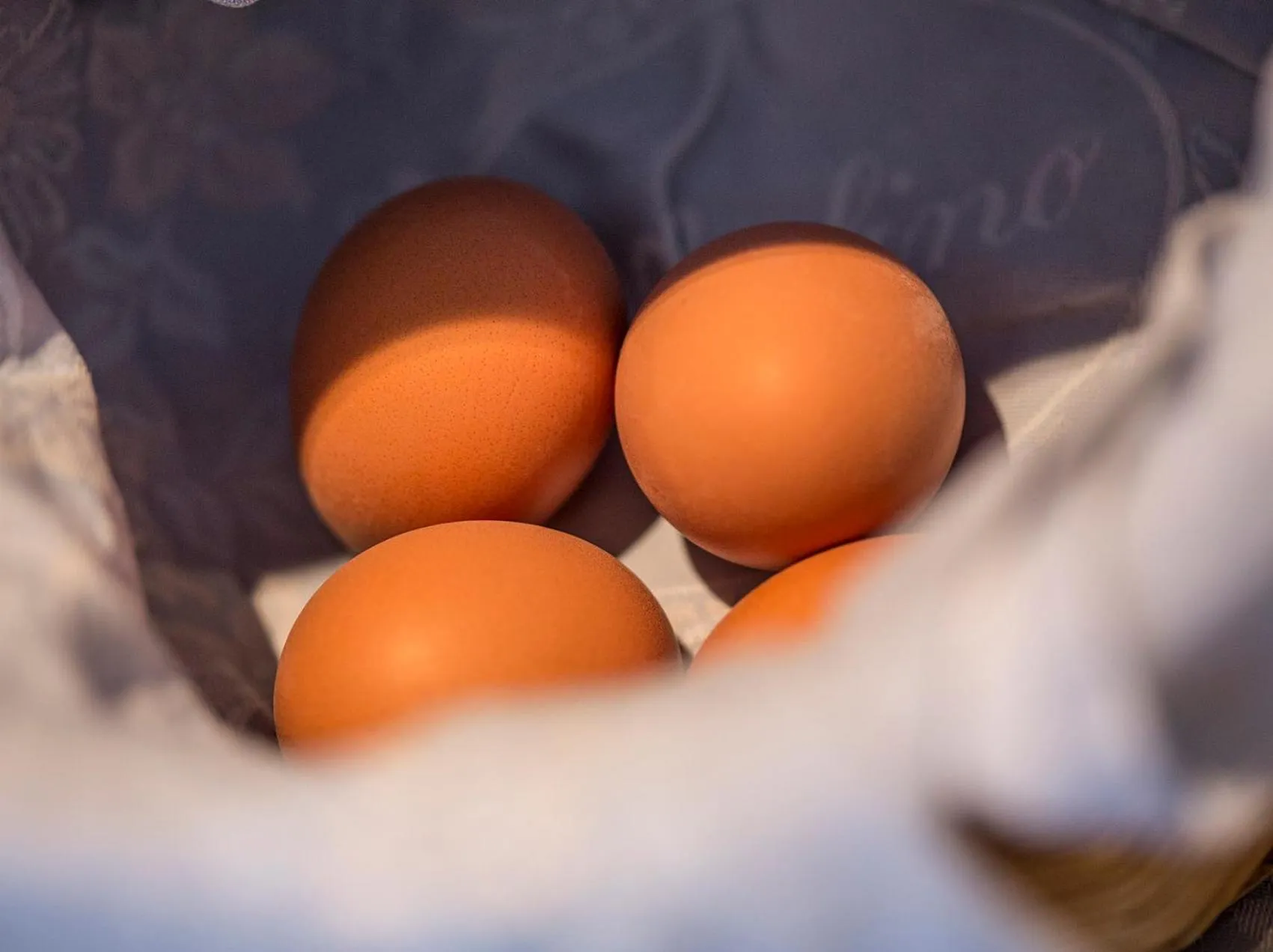 Food in Hotel Al Molino