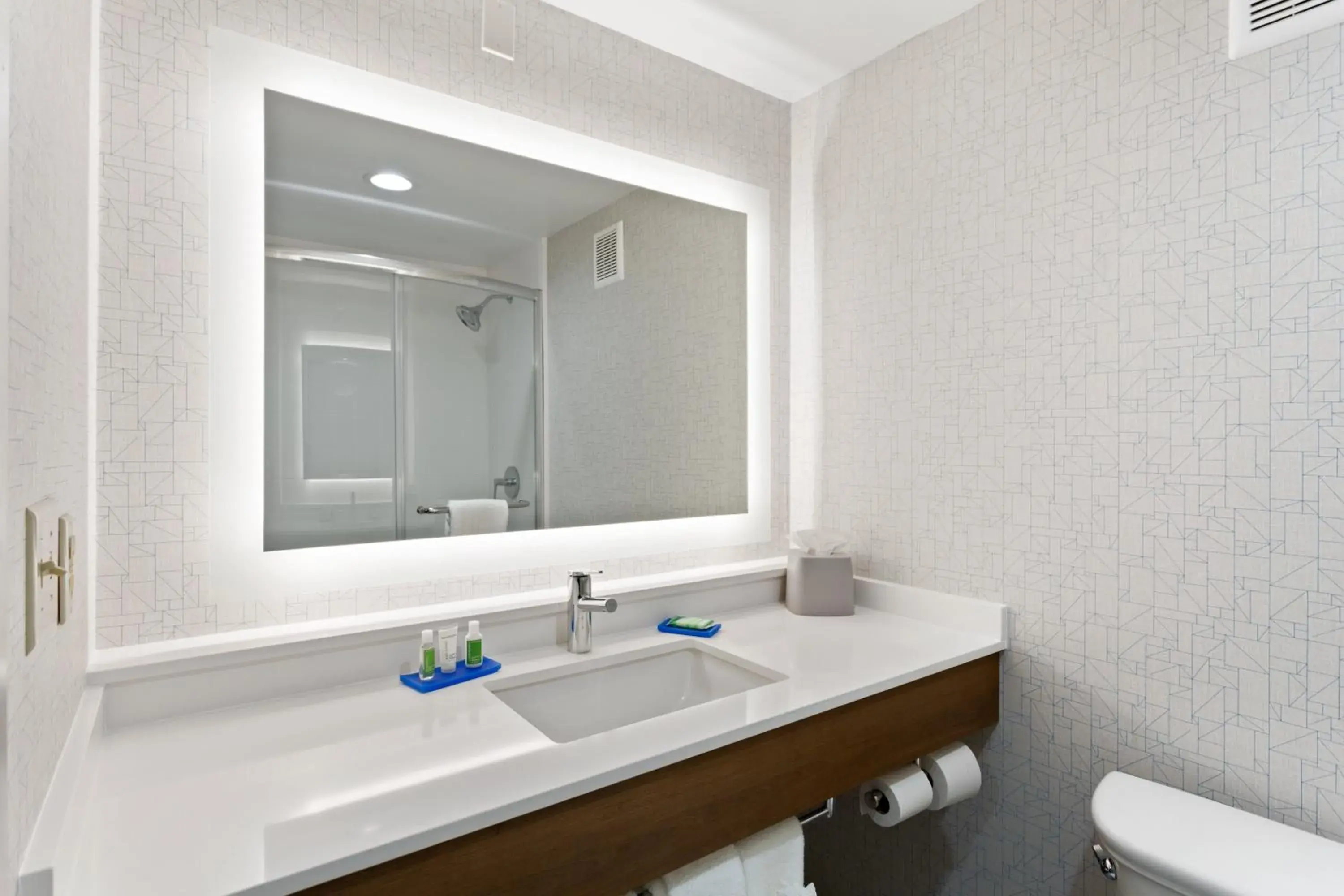 Bathroom in Holiday Inn Express Hopewell - Fort Lee by IHG Bathroom in Holiday Inn Express Hopewell - Fort Lee by IHG
