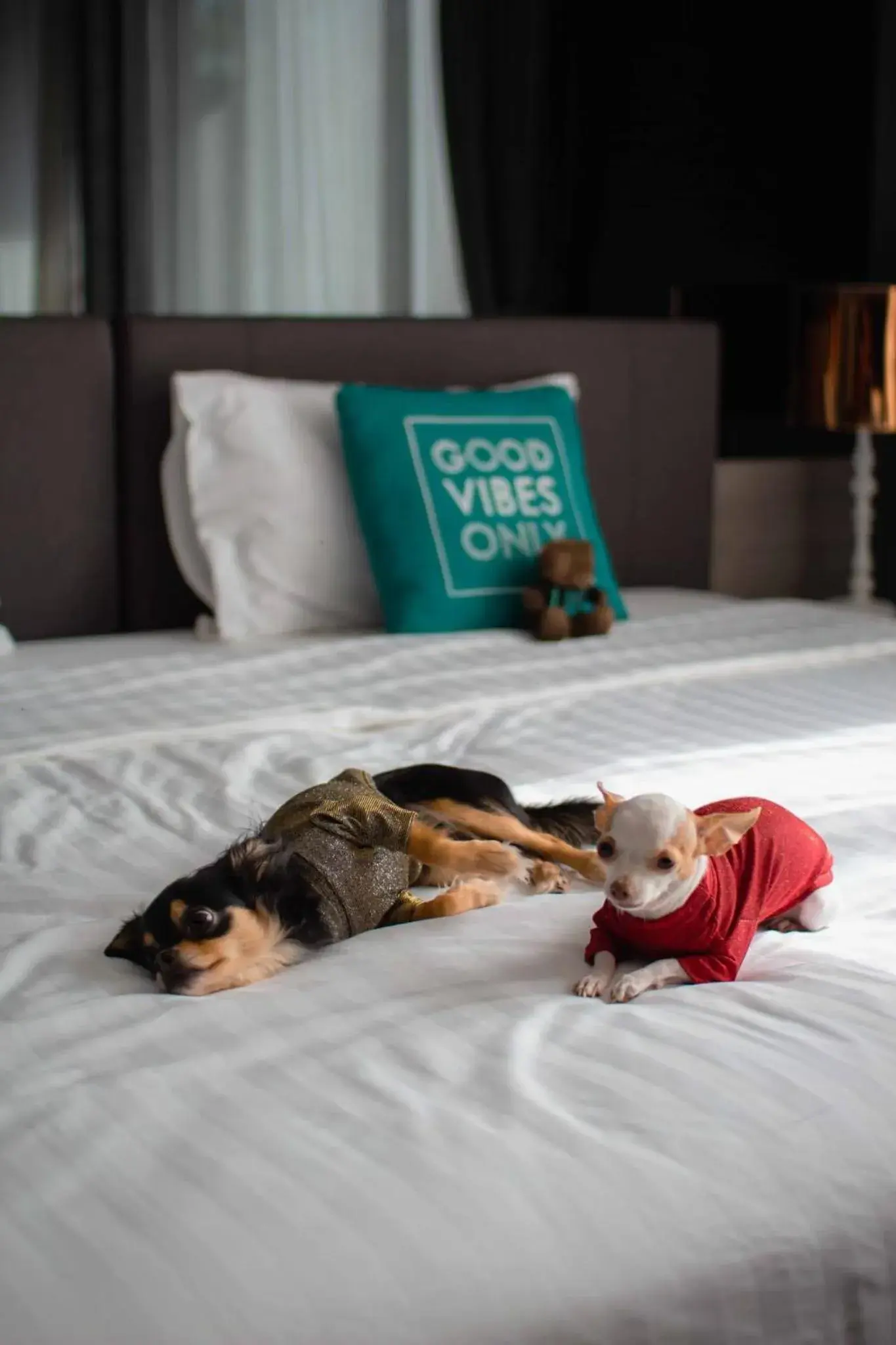 Bed in Cross Vibe Pattaya Seaphere Bed in Cross Vibe Pattaya Seaphere