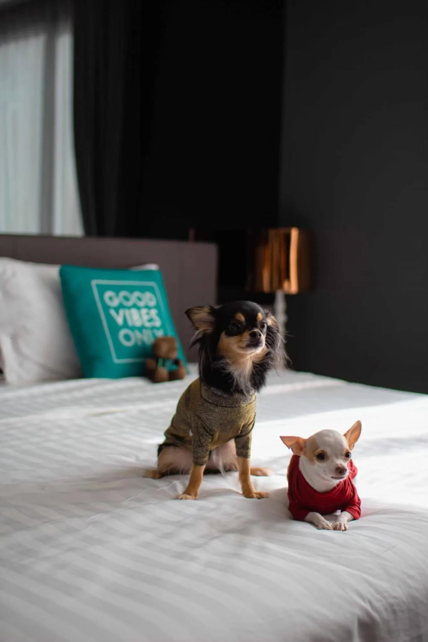 Bedroom, Bed in Seaphere Pattaya Hotel by Elite Suites