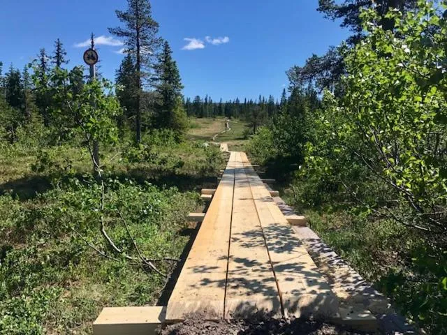 Day in Sälens Högfjällshotell