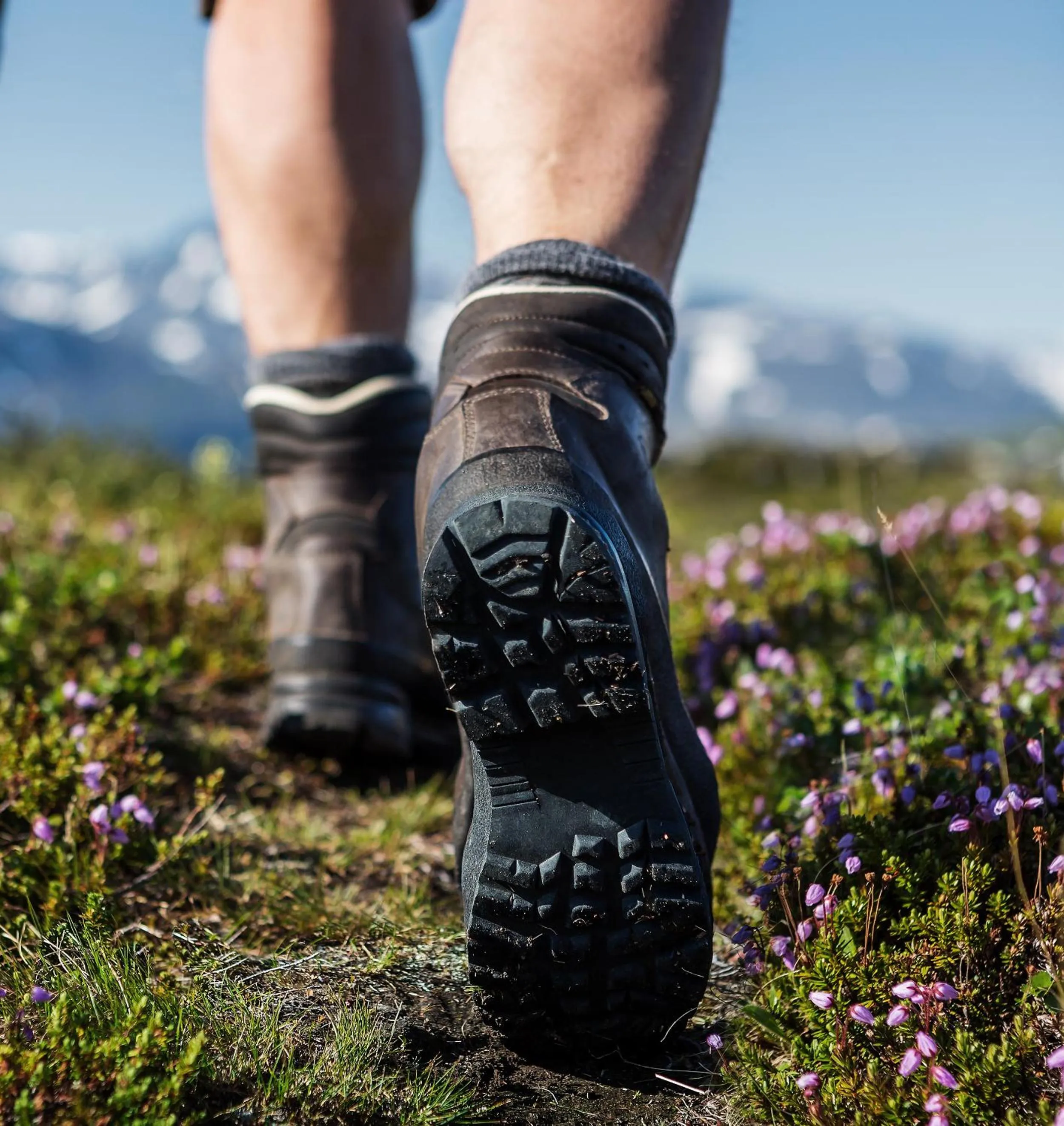 Day in Sälens Högfjällshotell