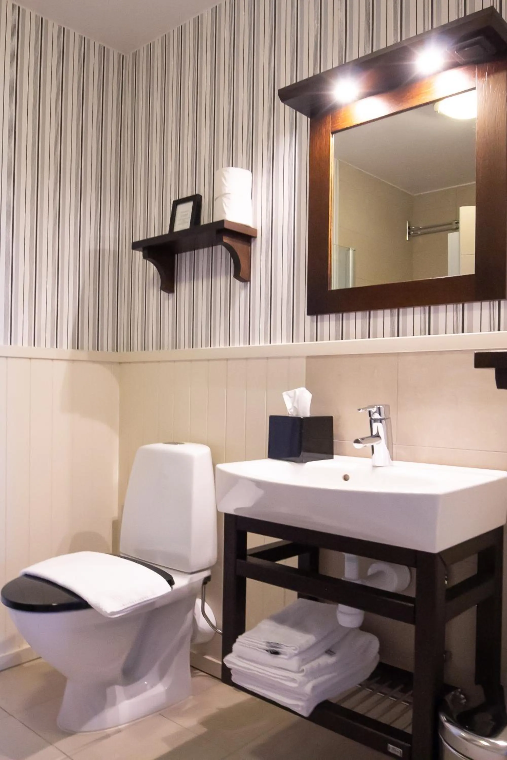 Toilet in Sälens Högfjällshotell