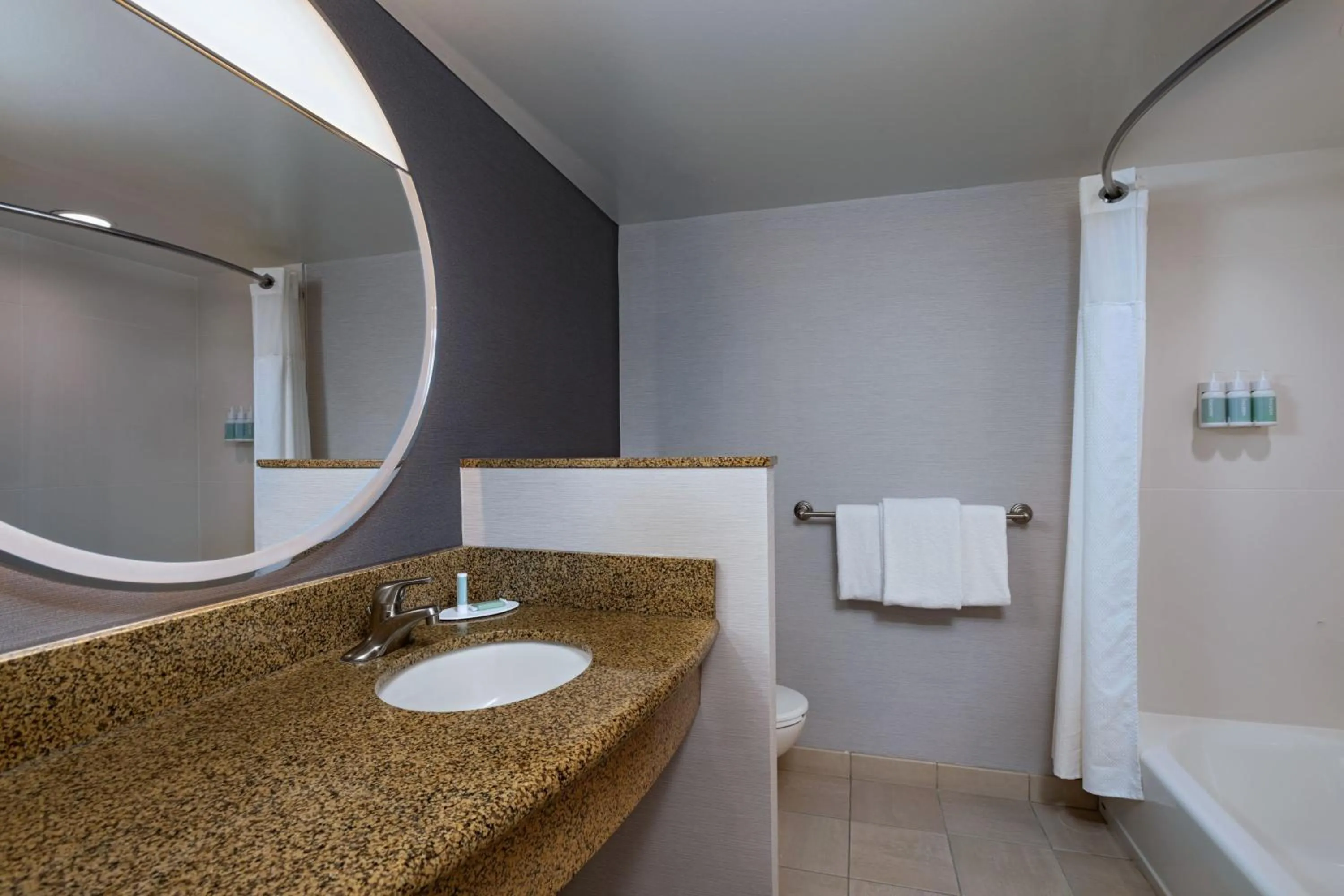 Bathroom in Courtyard by Marriott Boise West/Meridian