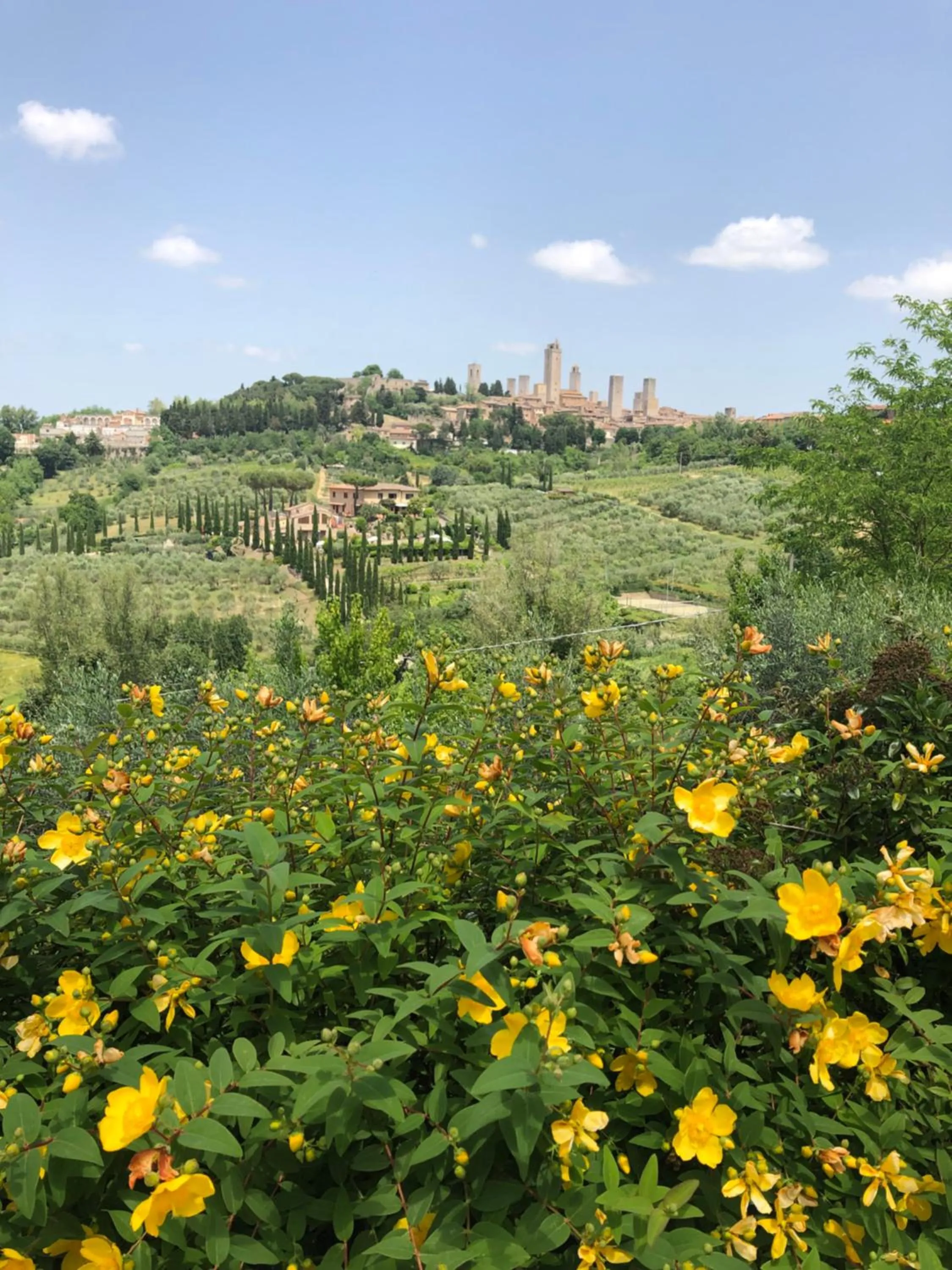 Garden in B&B La Cornice