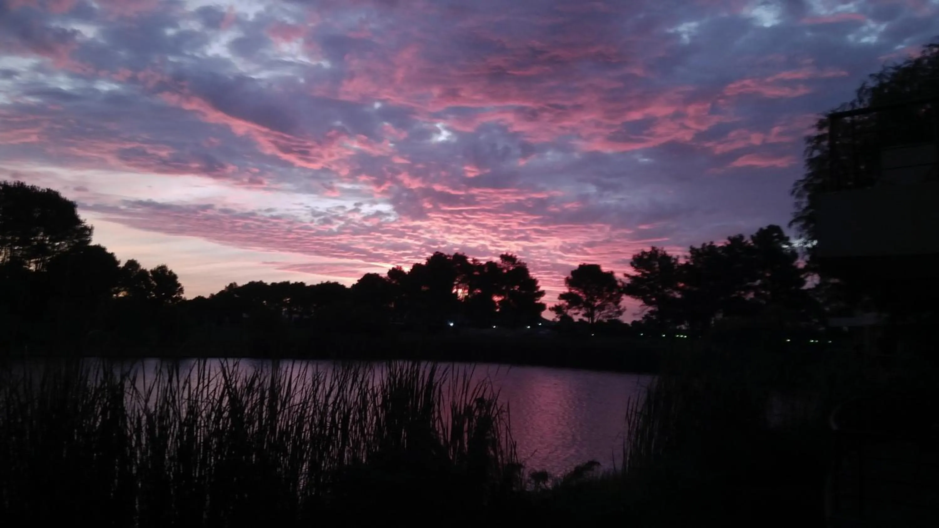 Natural landscape in Pearl Valley Suites