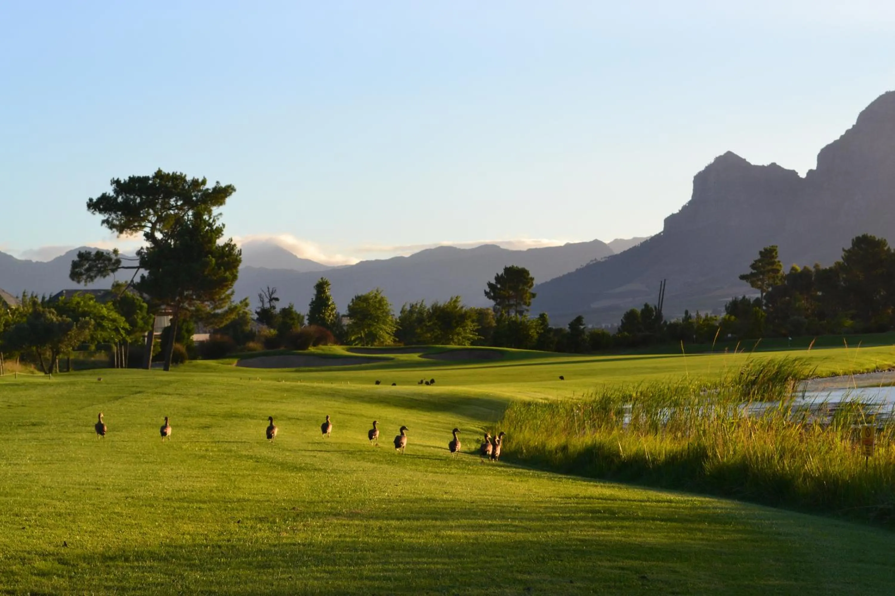 Golfcourse in Pearl Valley Suites