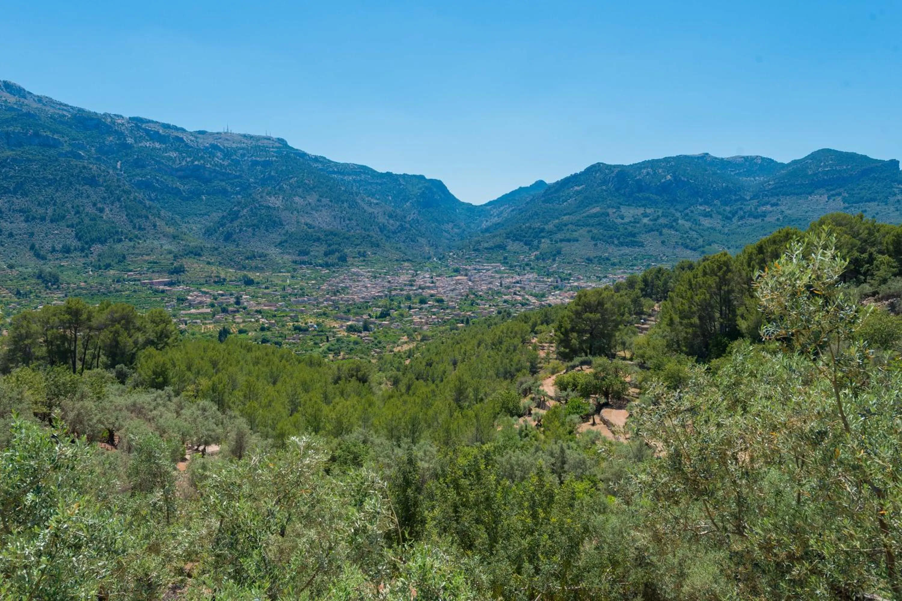 Mountain view in Son Bou