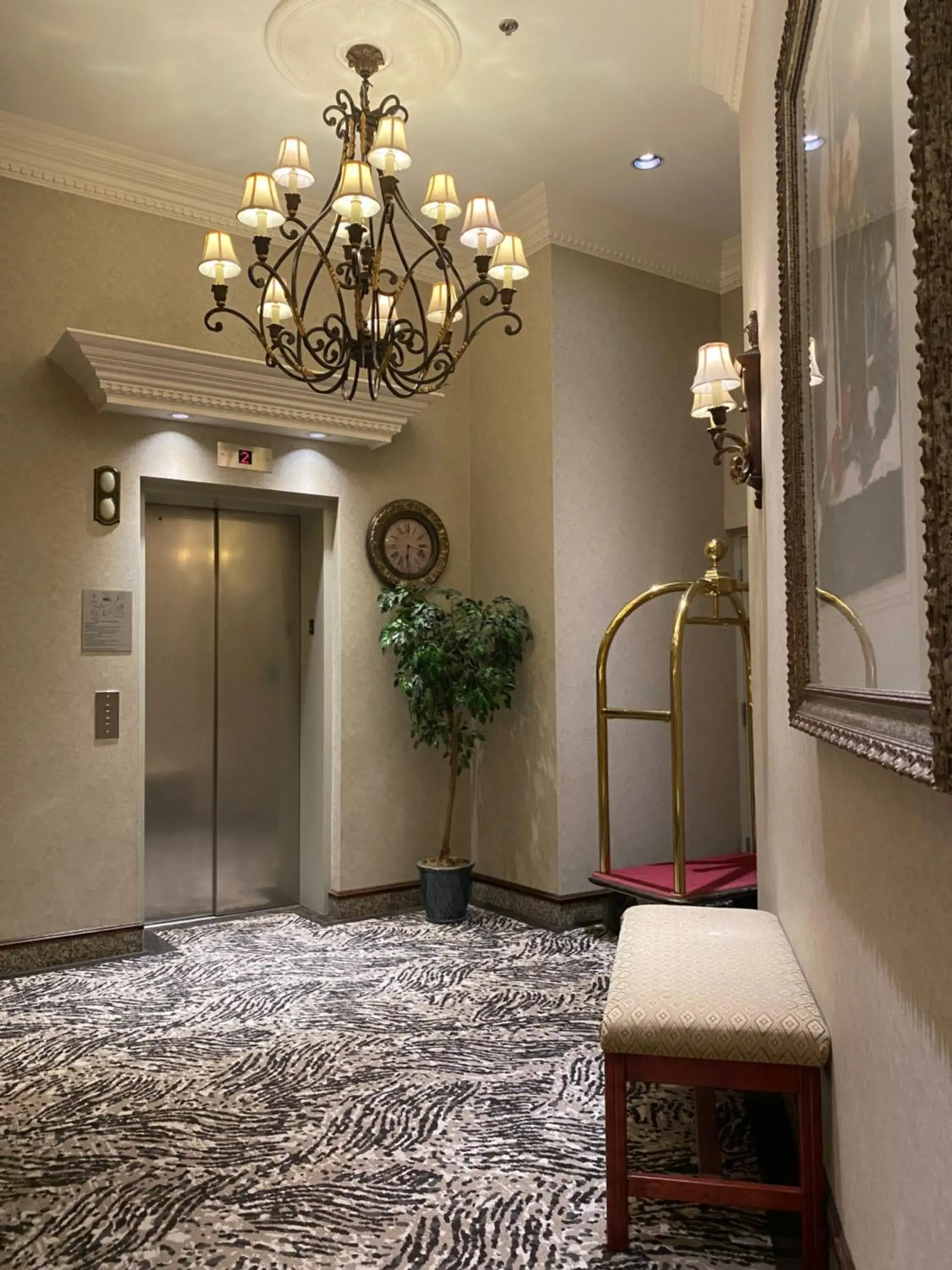 Lobby or reception in Kingston Hotel Lobby or reception in Kingston Hotel