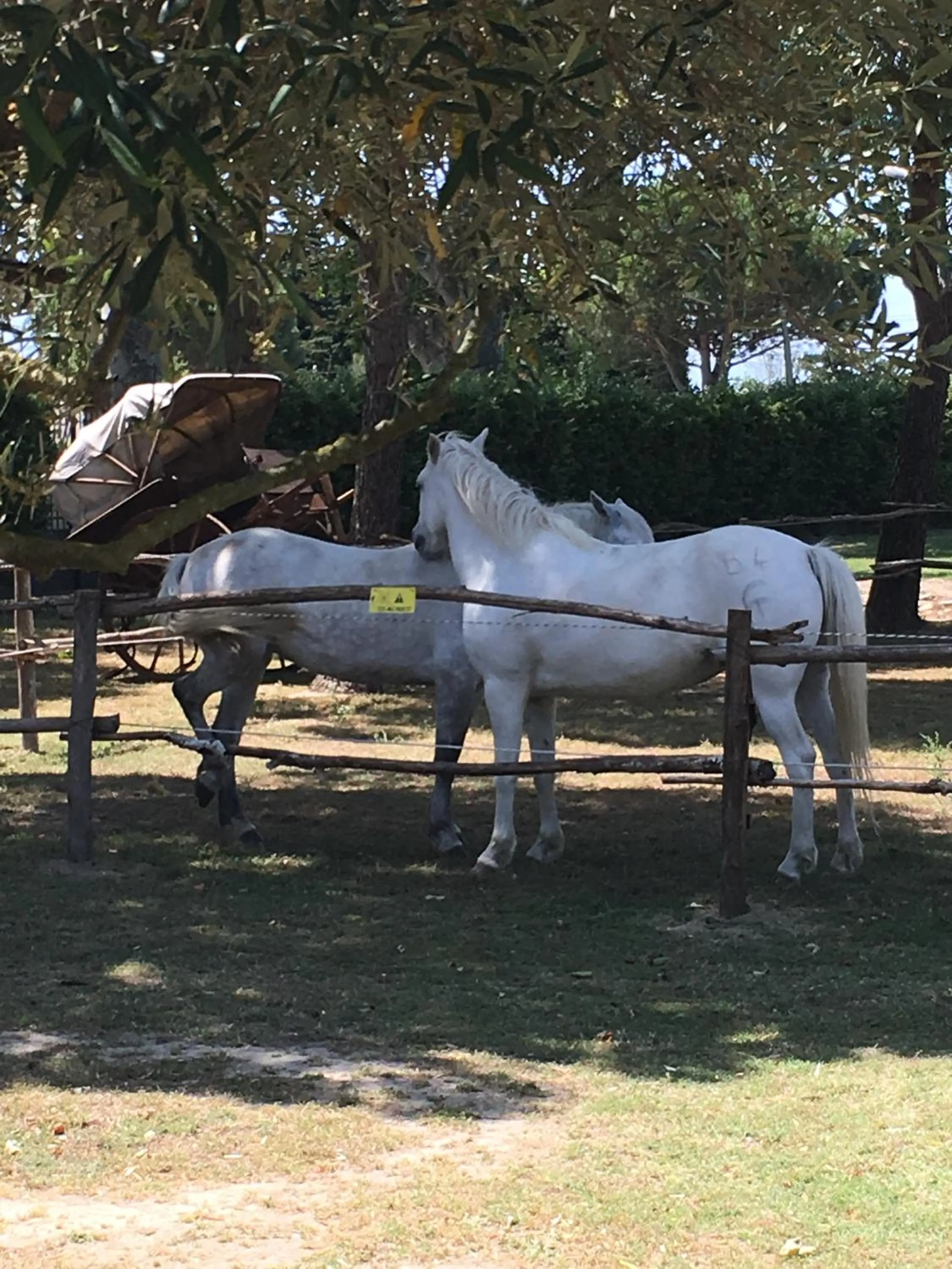 Studio (2 Adults) with Terrace and Garden  in Lou Garbin