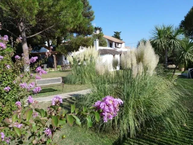 Garden view in Lou Garbin