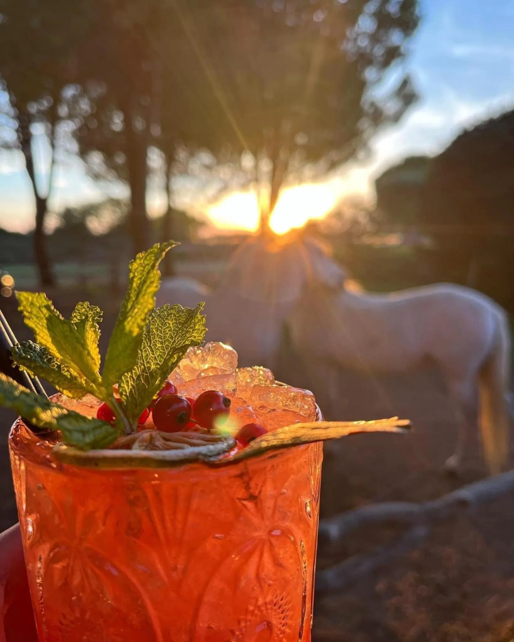 Restaurant/places to eat in Lou Garbin