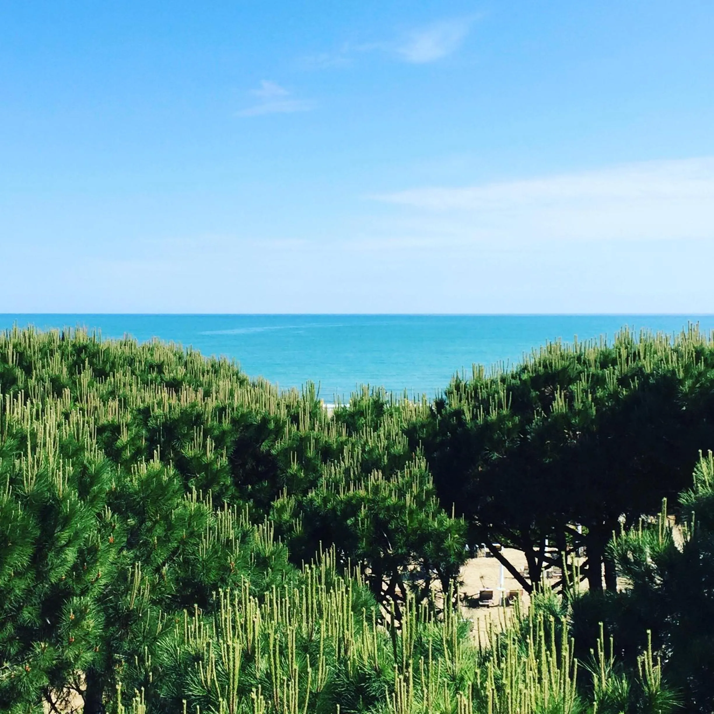 Hotel Mediterraneo Suite&Residence
