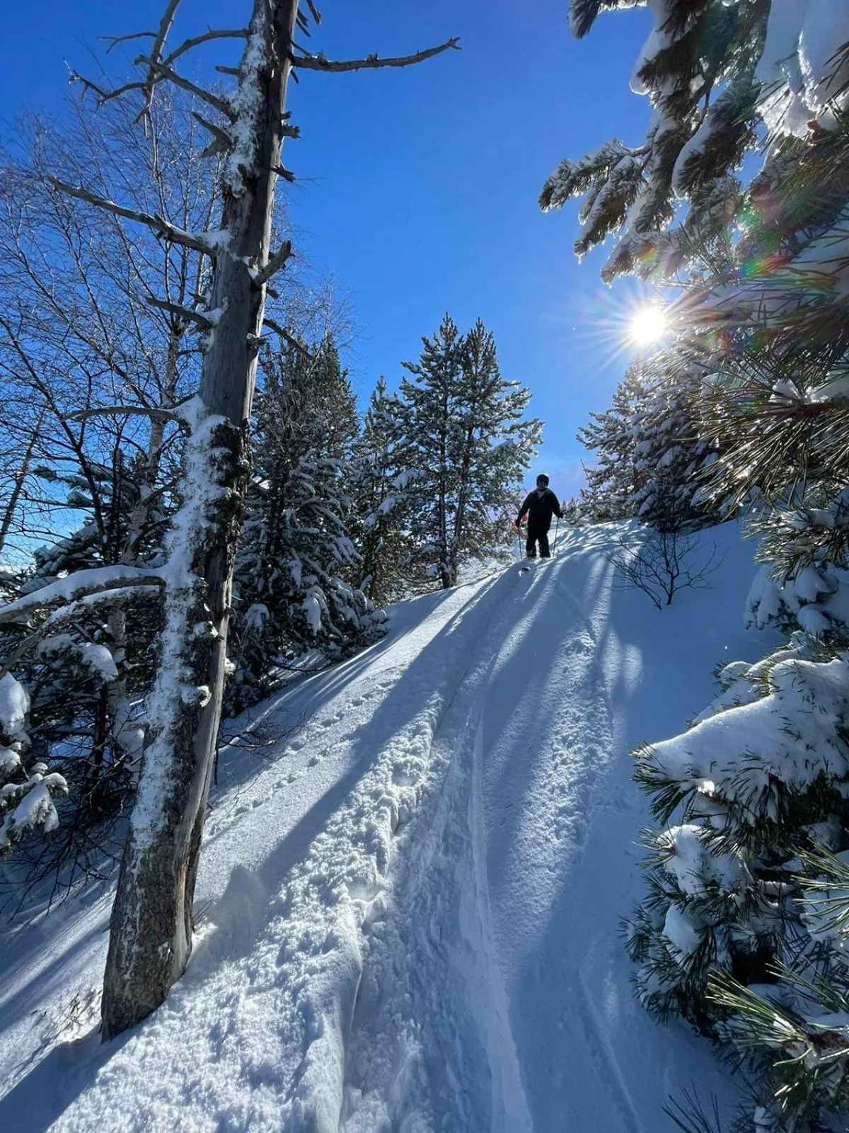 Activities in Hotel Or Blanc