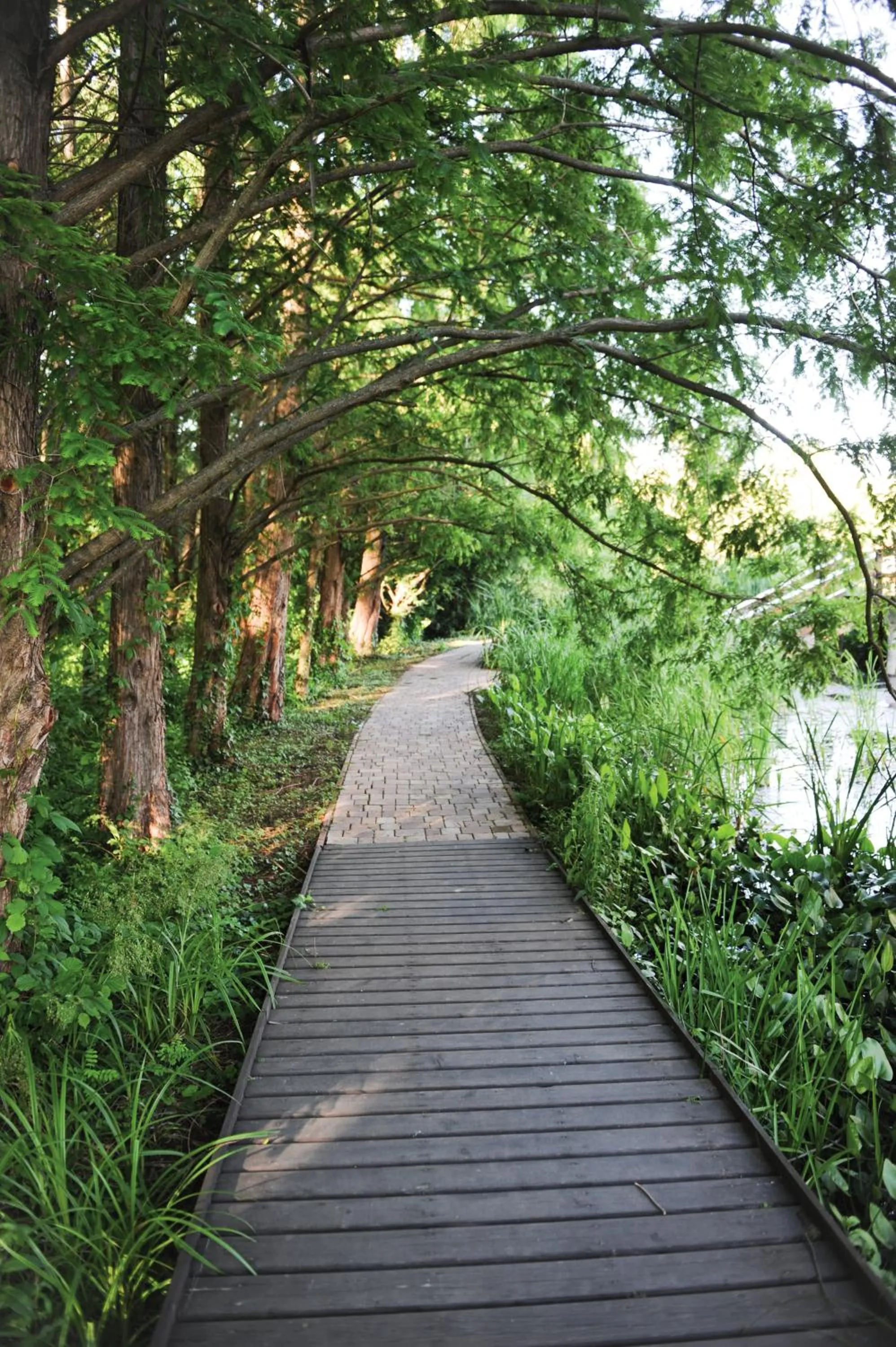 Neighbourhood in Hotel Spa Hévíz